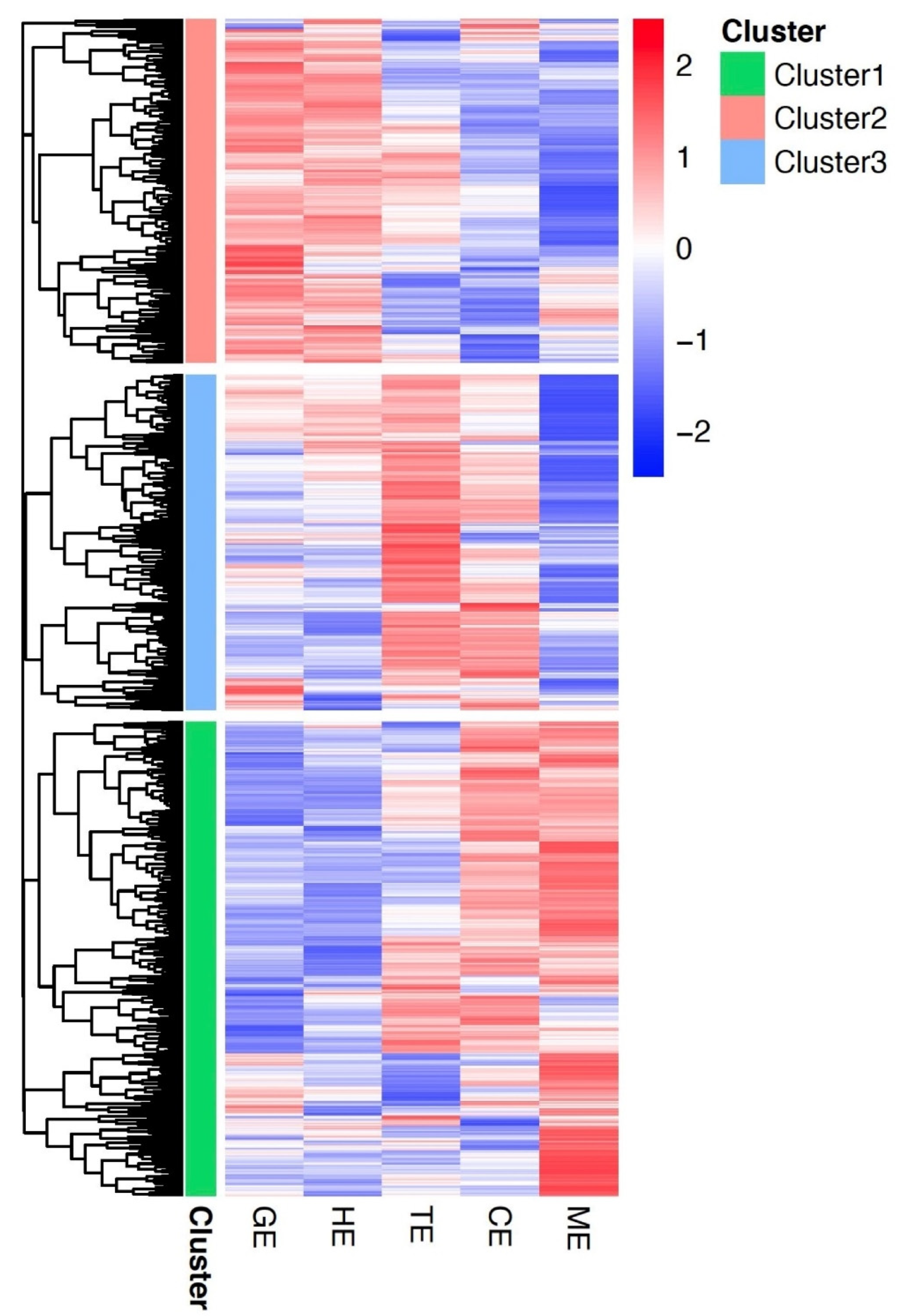 Plants 11 02031 g005 550