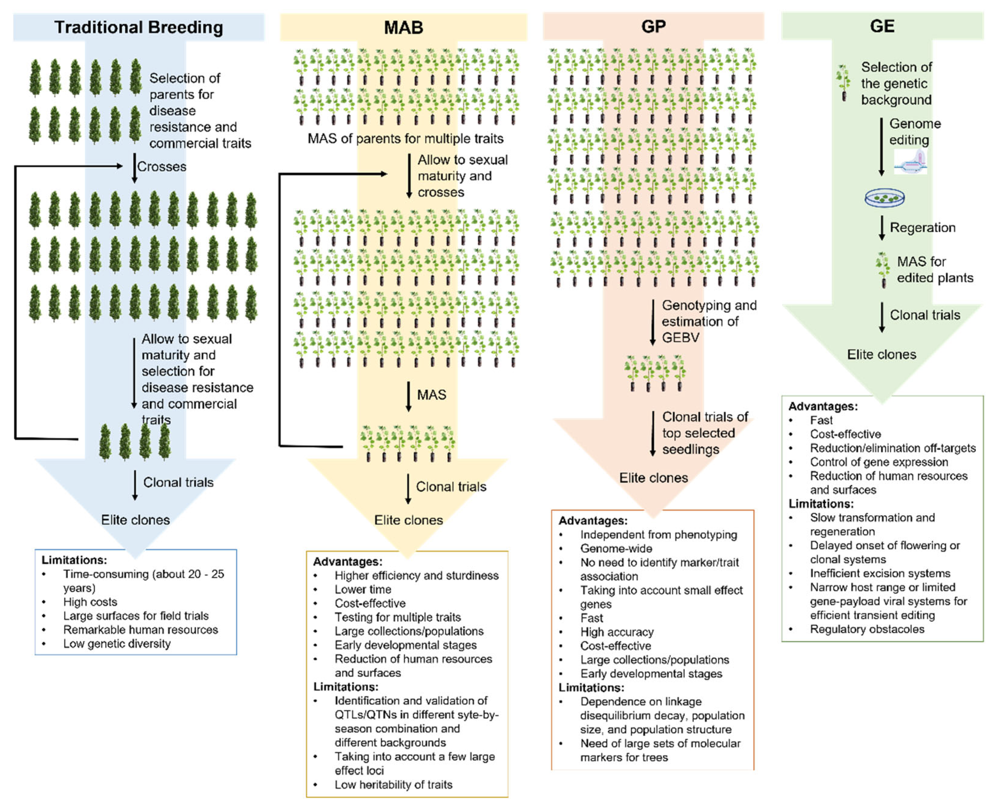 Plants 11 02032 g002