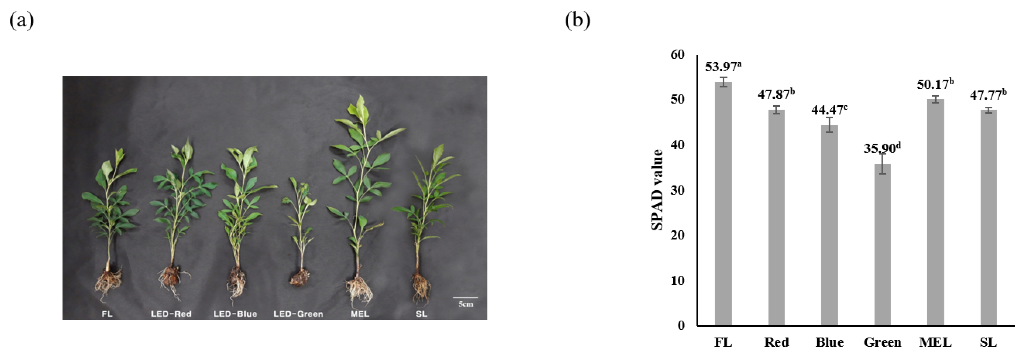 Plants 11 02035 g001