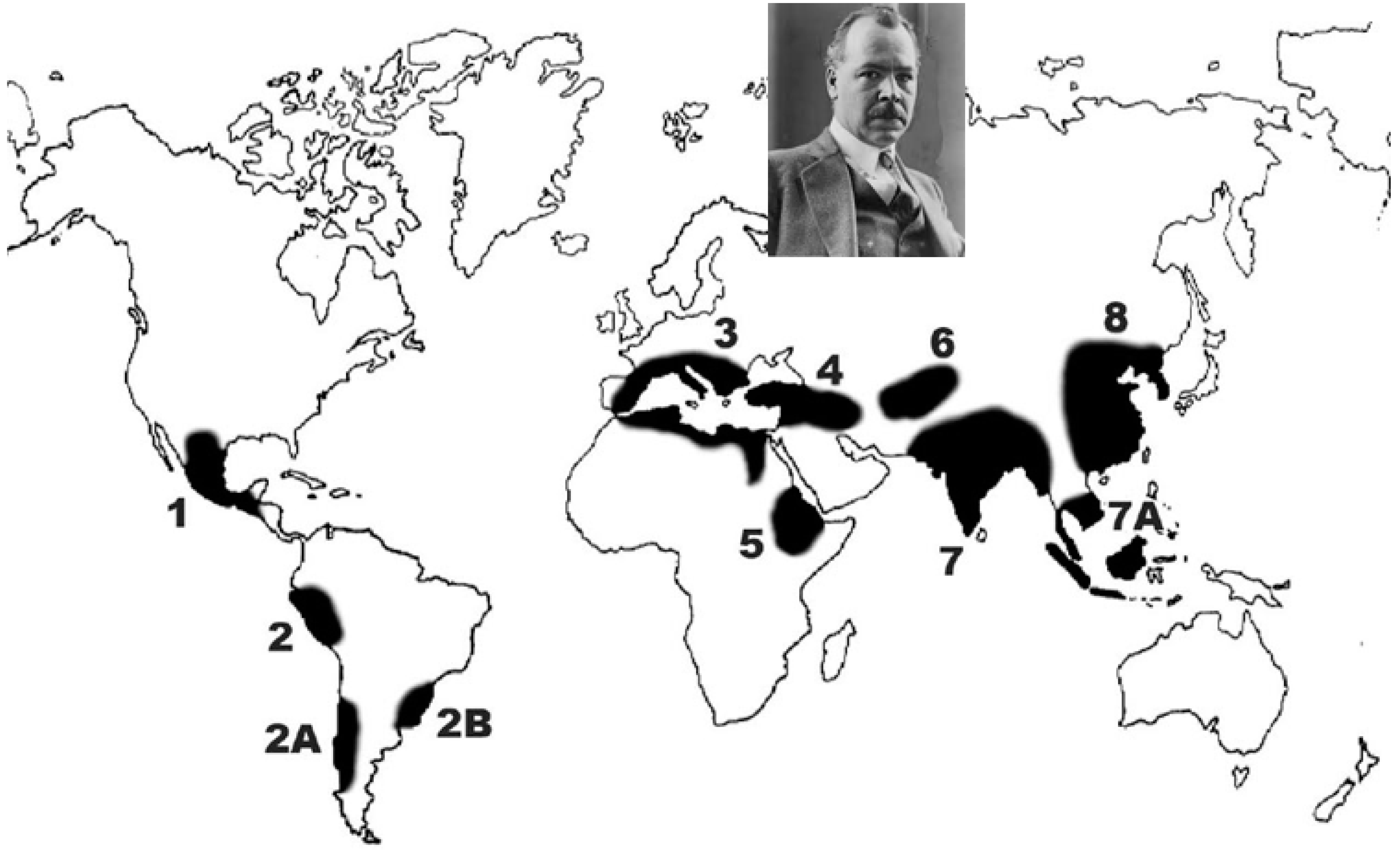 Plants 11 02038 g001