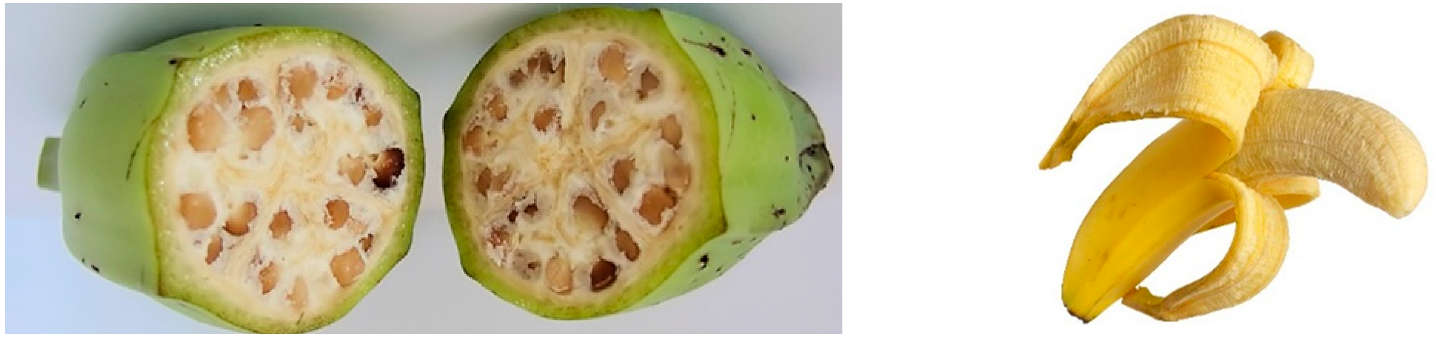 Plants 11 02038 g005