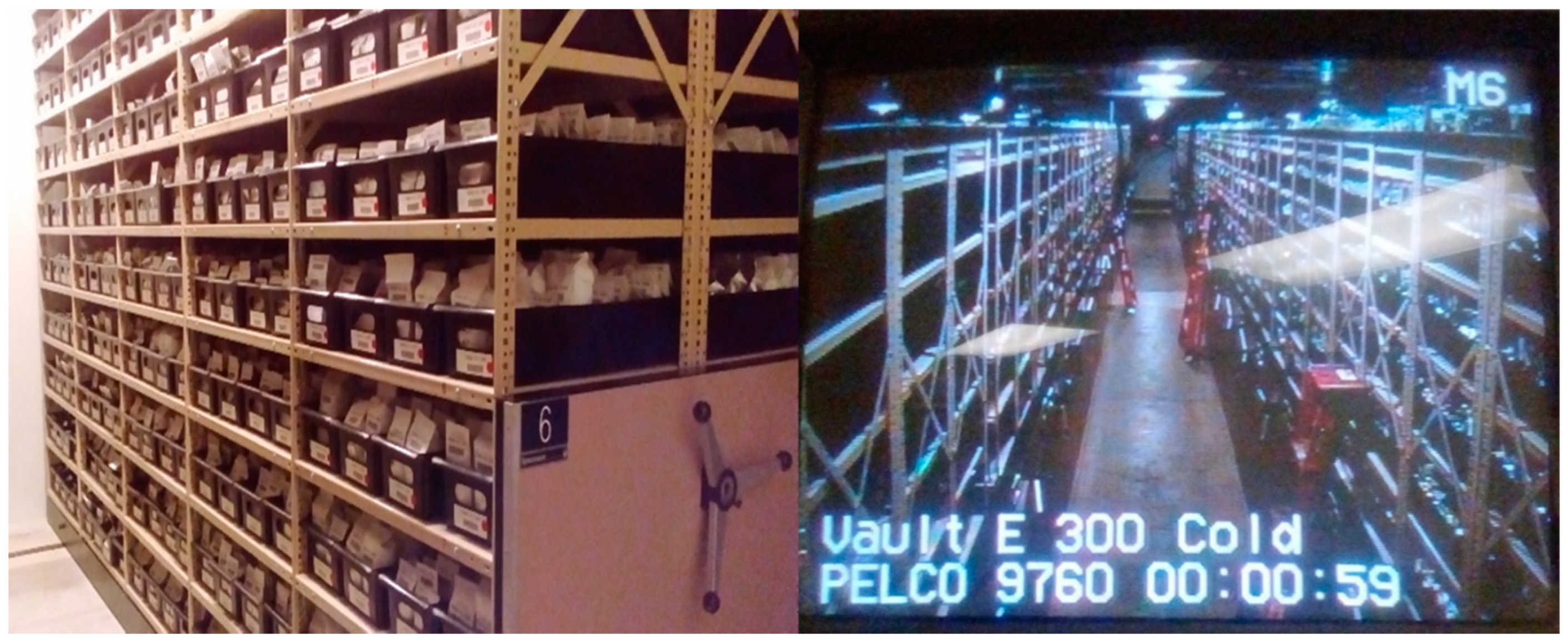 Plants 11 02038 g008