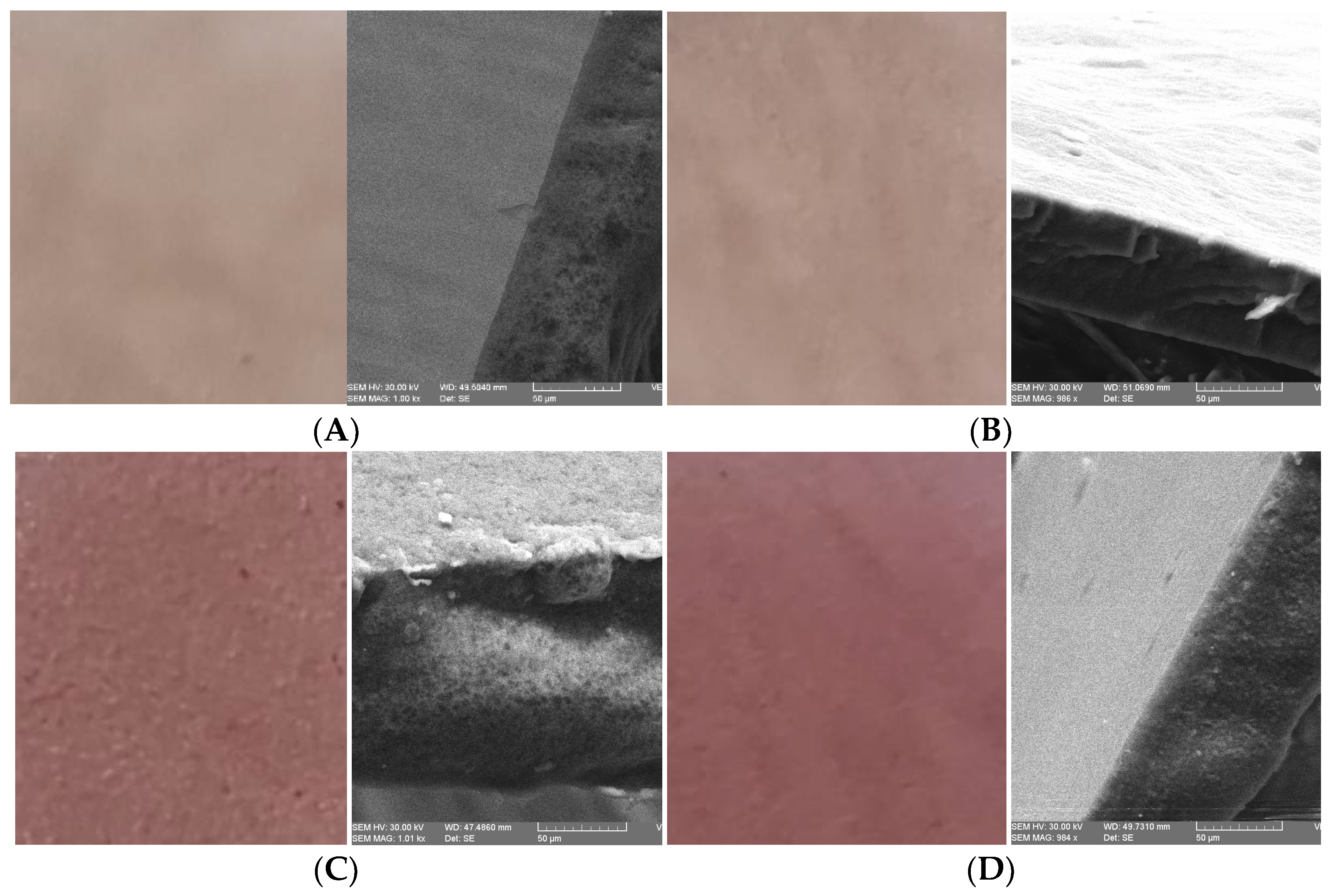 Plants 11 02040 g001a 550