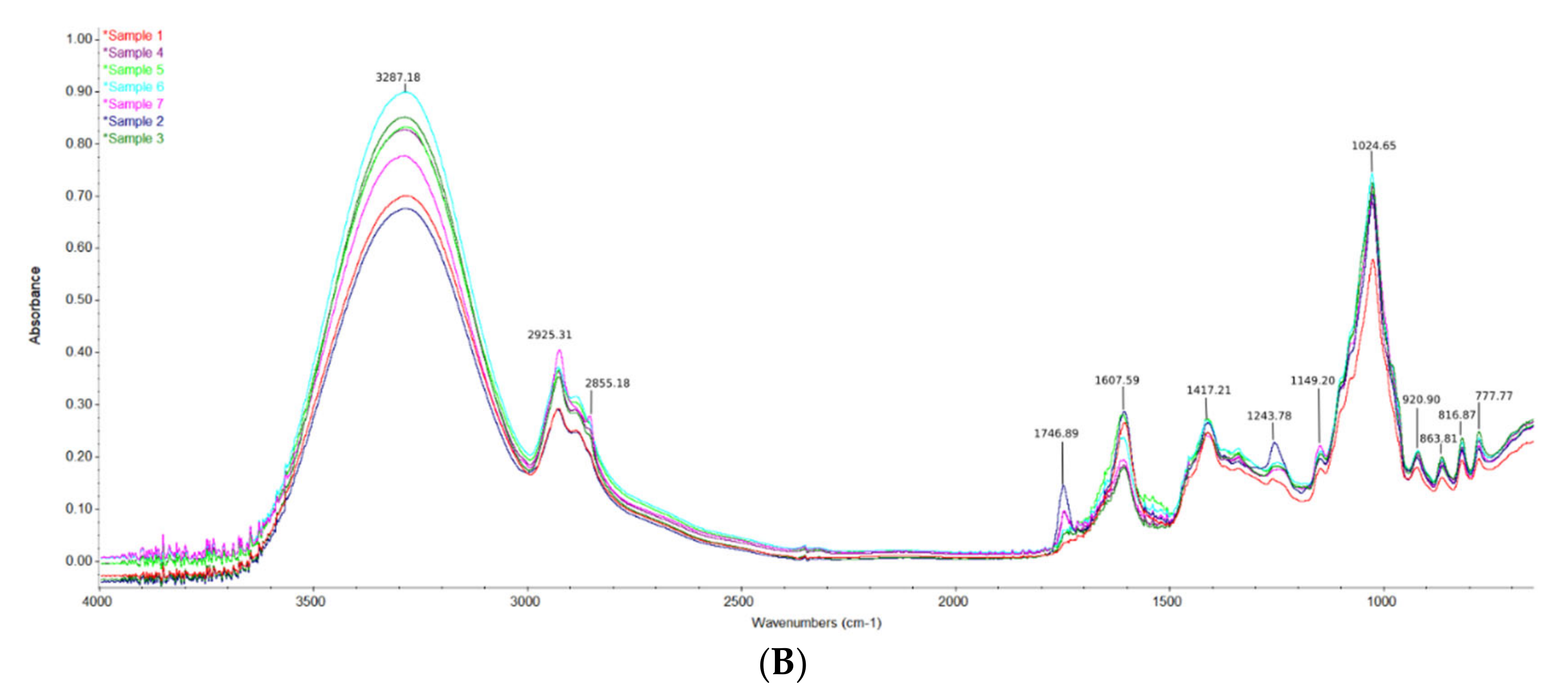 Plants 11 02040 g002b 550