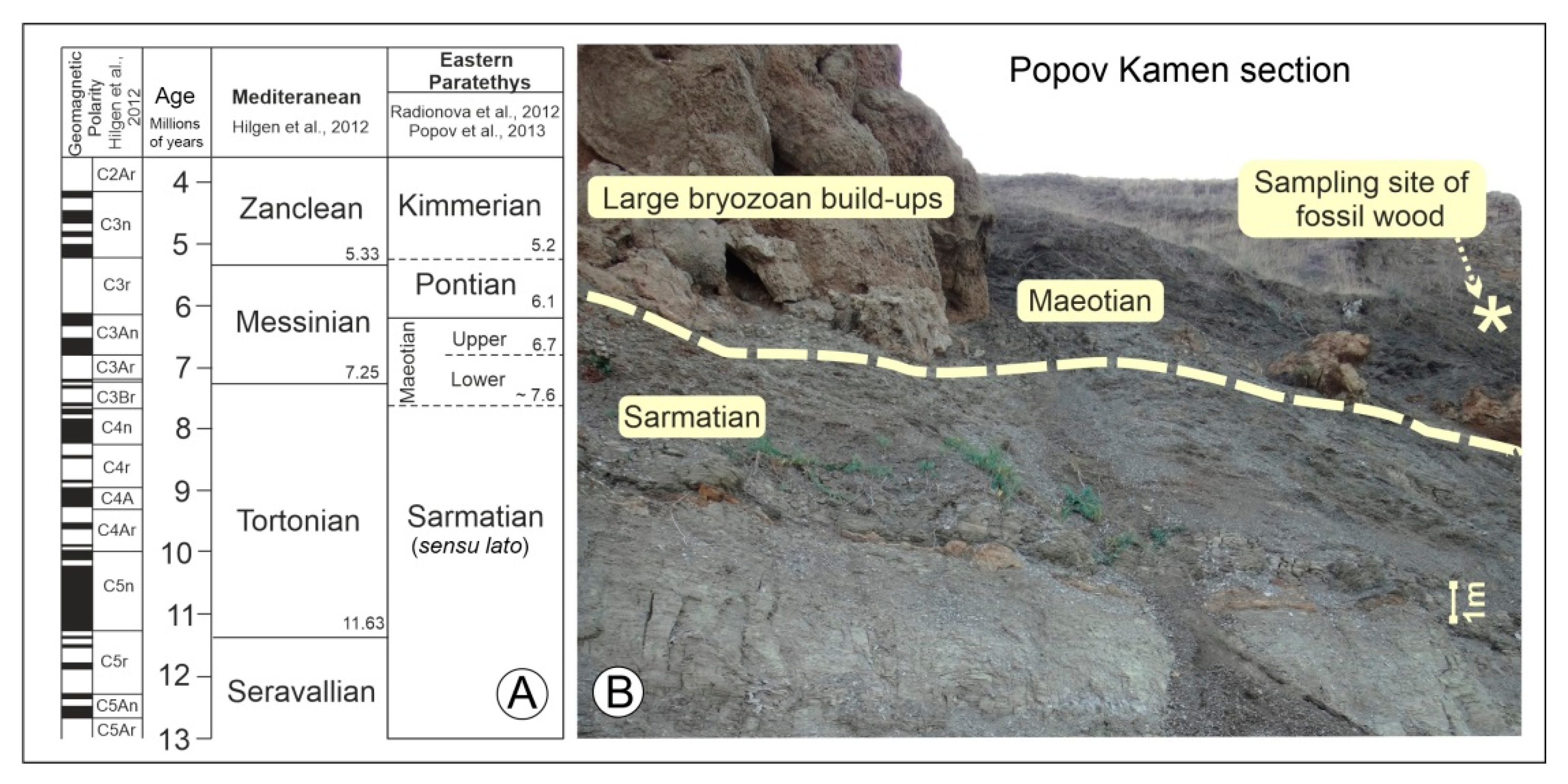 Plants 11 02050 g004 550