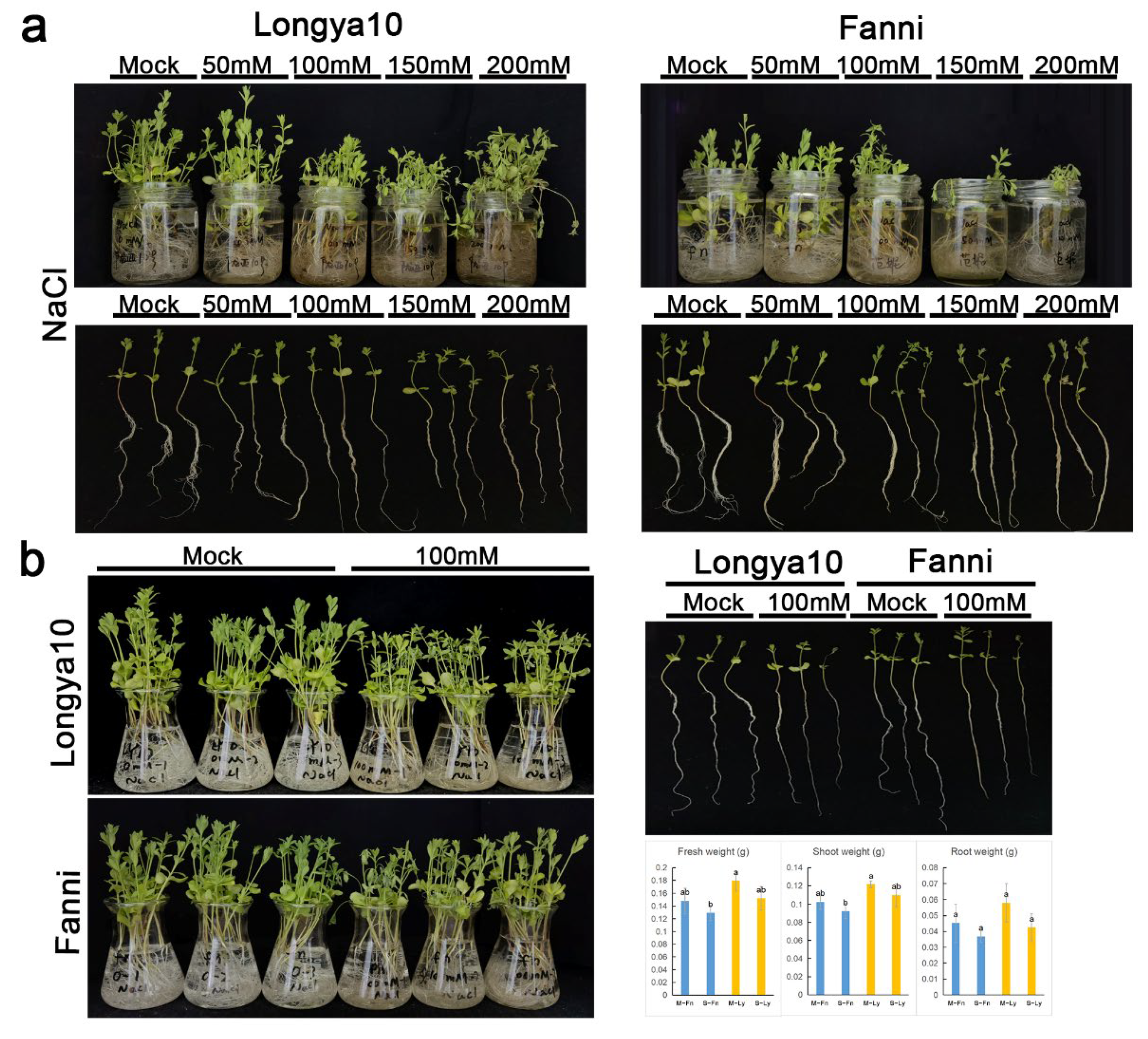 Plants 11 02053 g001 Plants 11 02053 g001