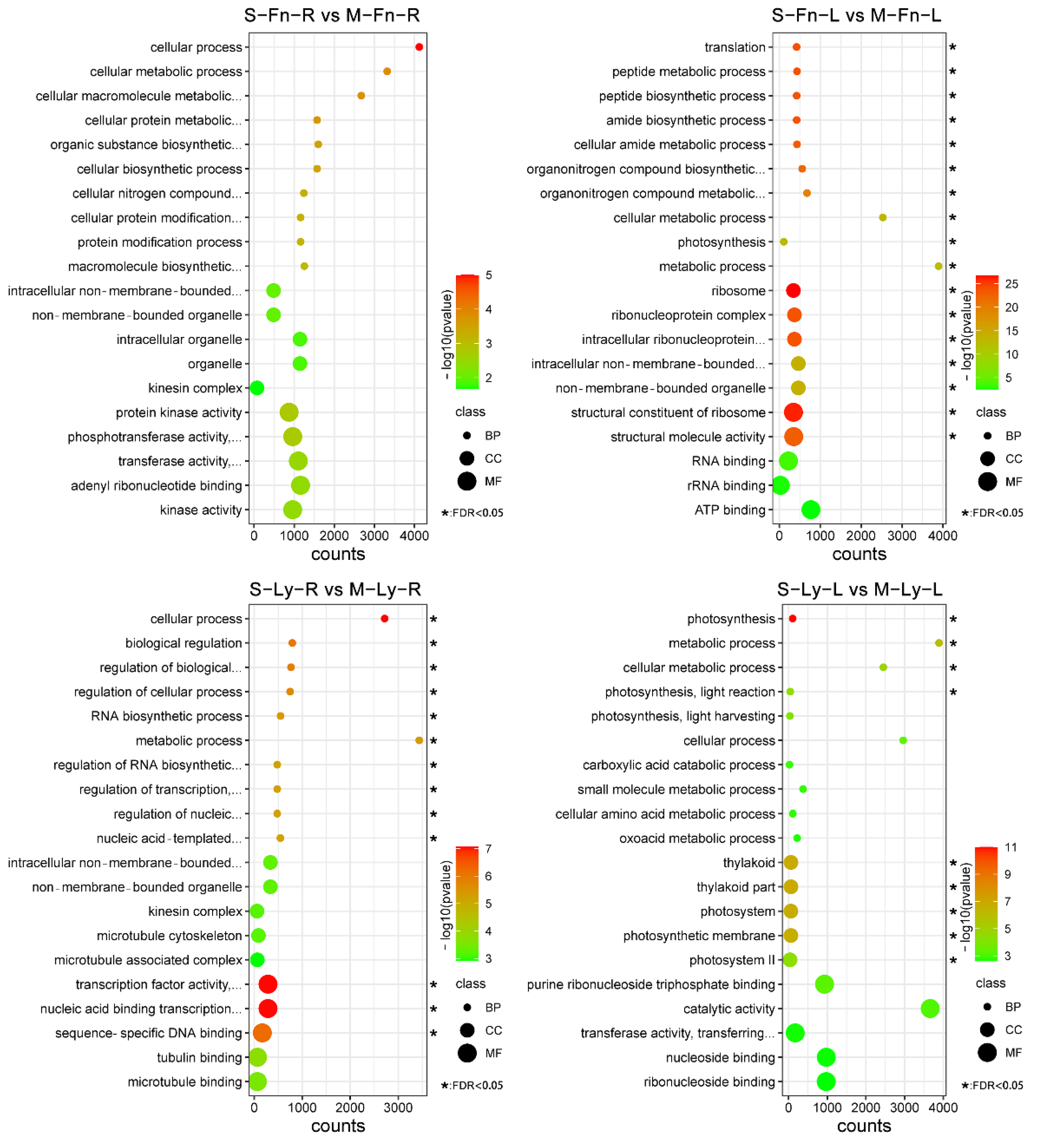 Plants 11 02053 g005 Plants 11 02053 g005