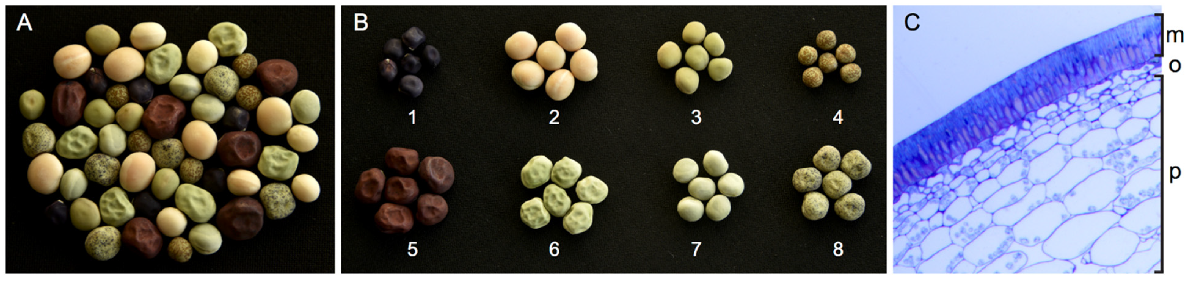 Plants 11 02056 g001 Plants 11 02056 g001