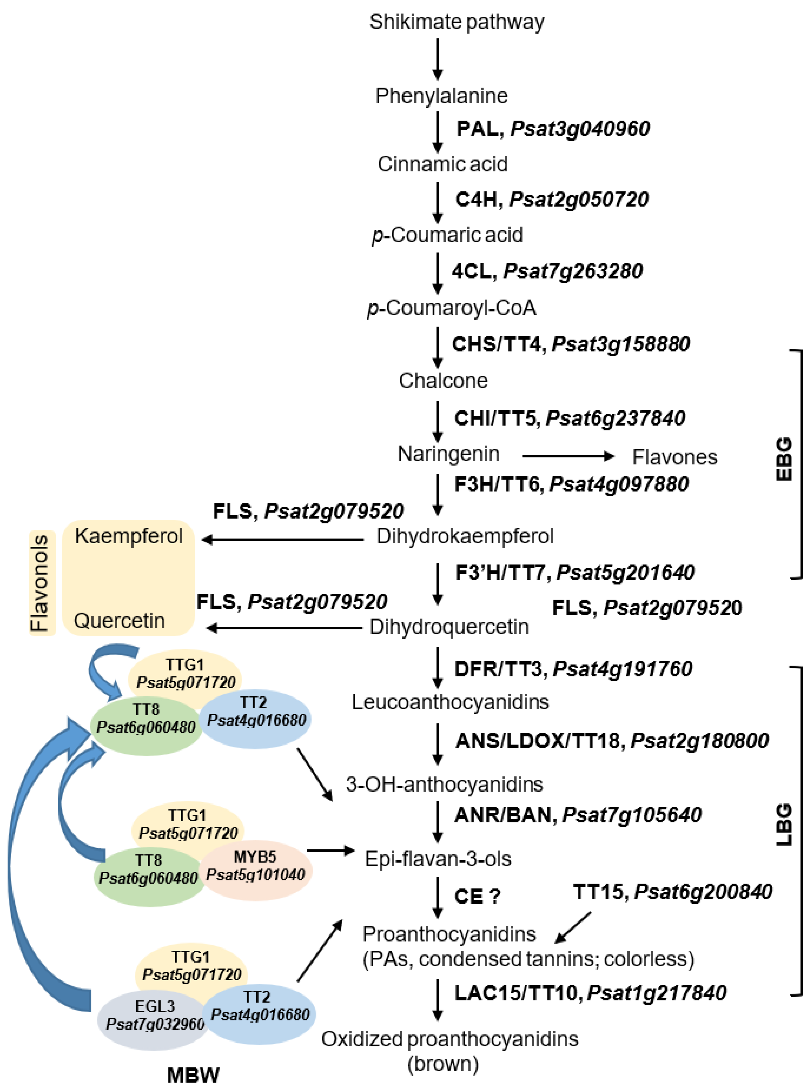Plants 11 02056 g002 Plants 11 02056 g002