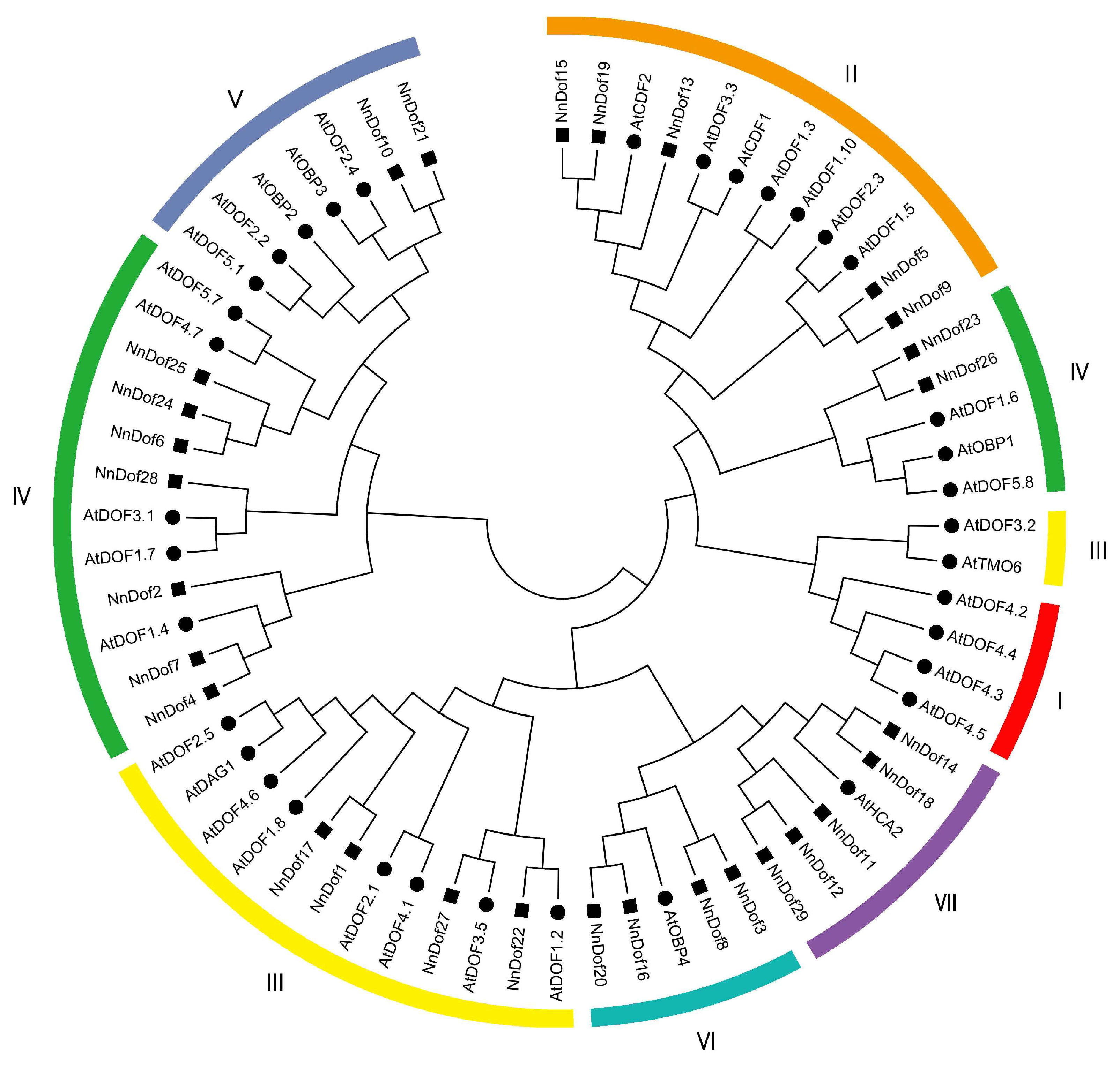 Plants 11 02057 g001 550
