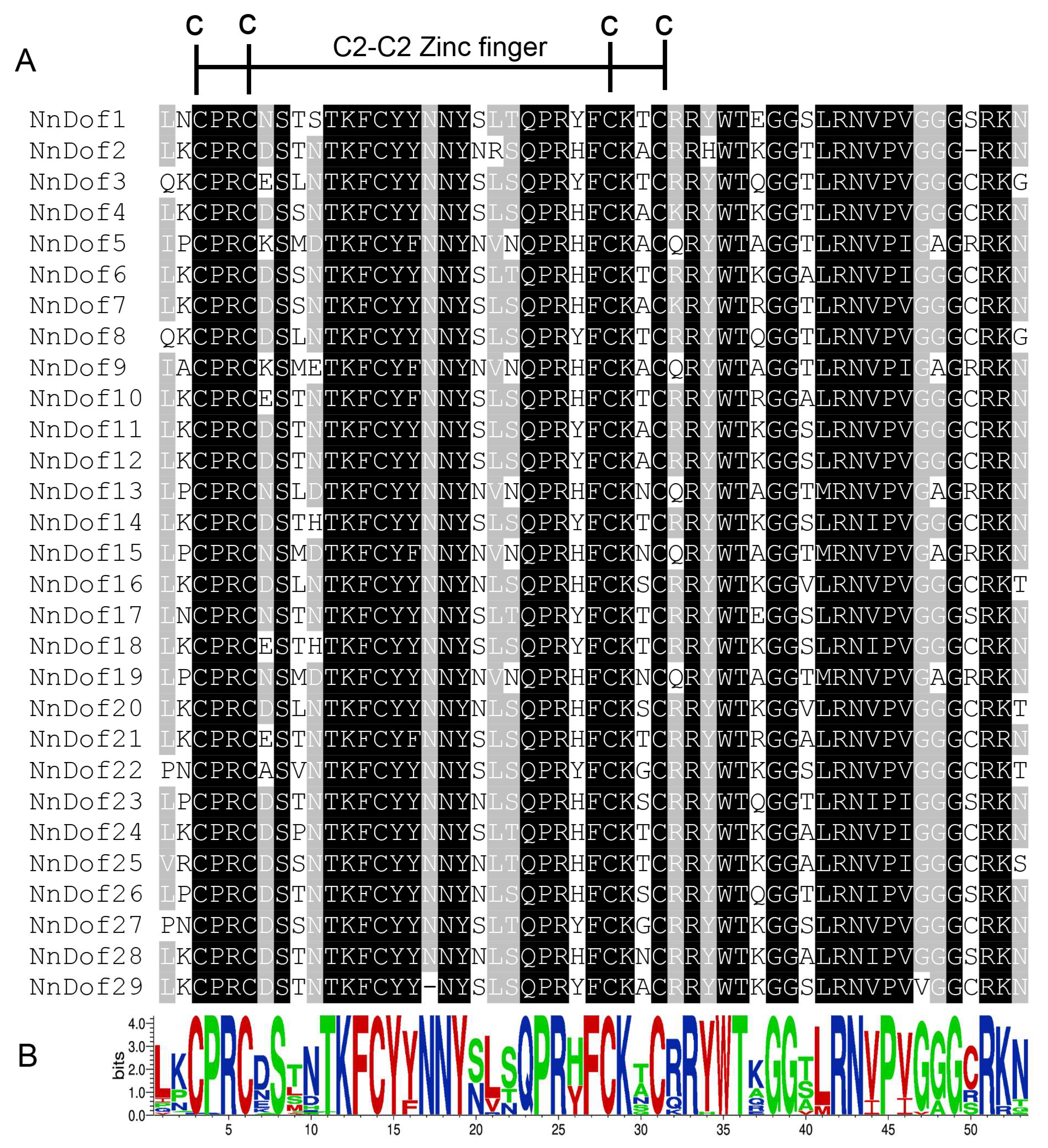 Plants 11 02057 g002 550