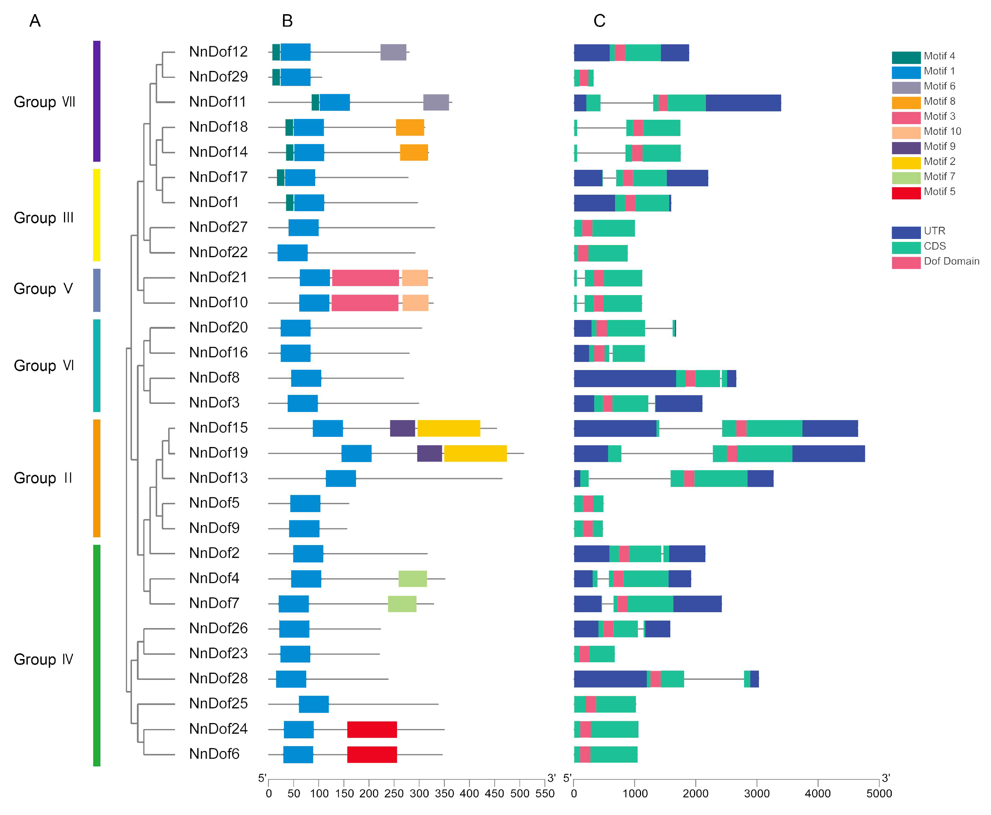 Plants 11 02057 g003 550