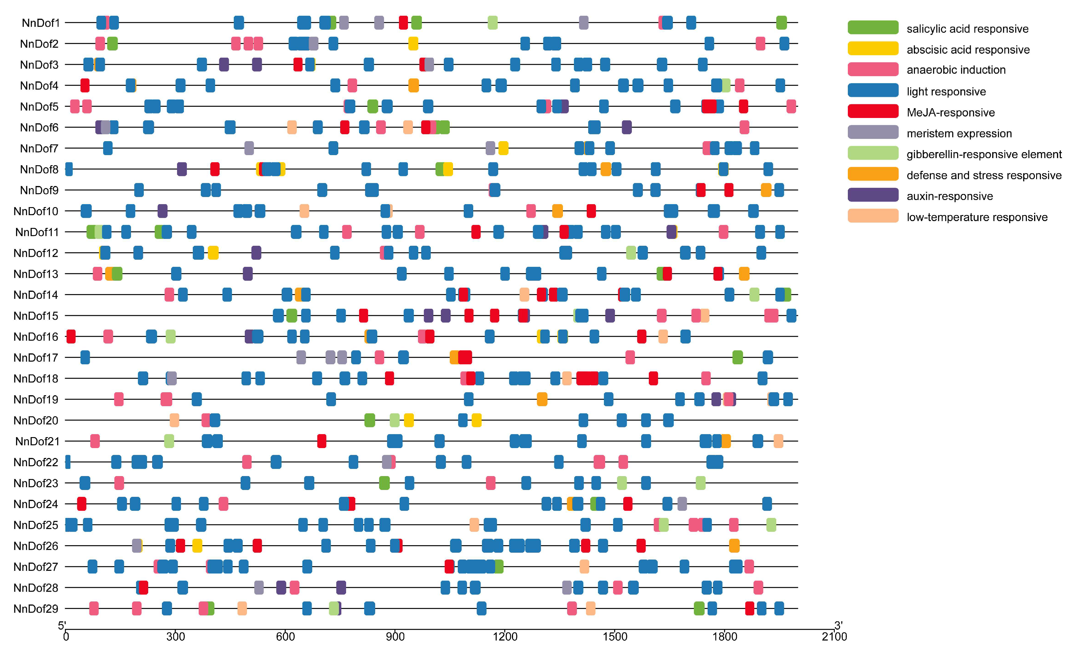 Plants 11 02057 g004 550