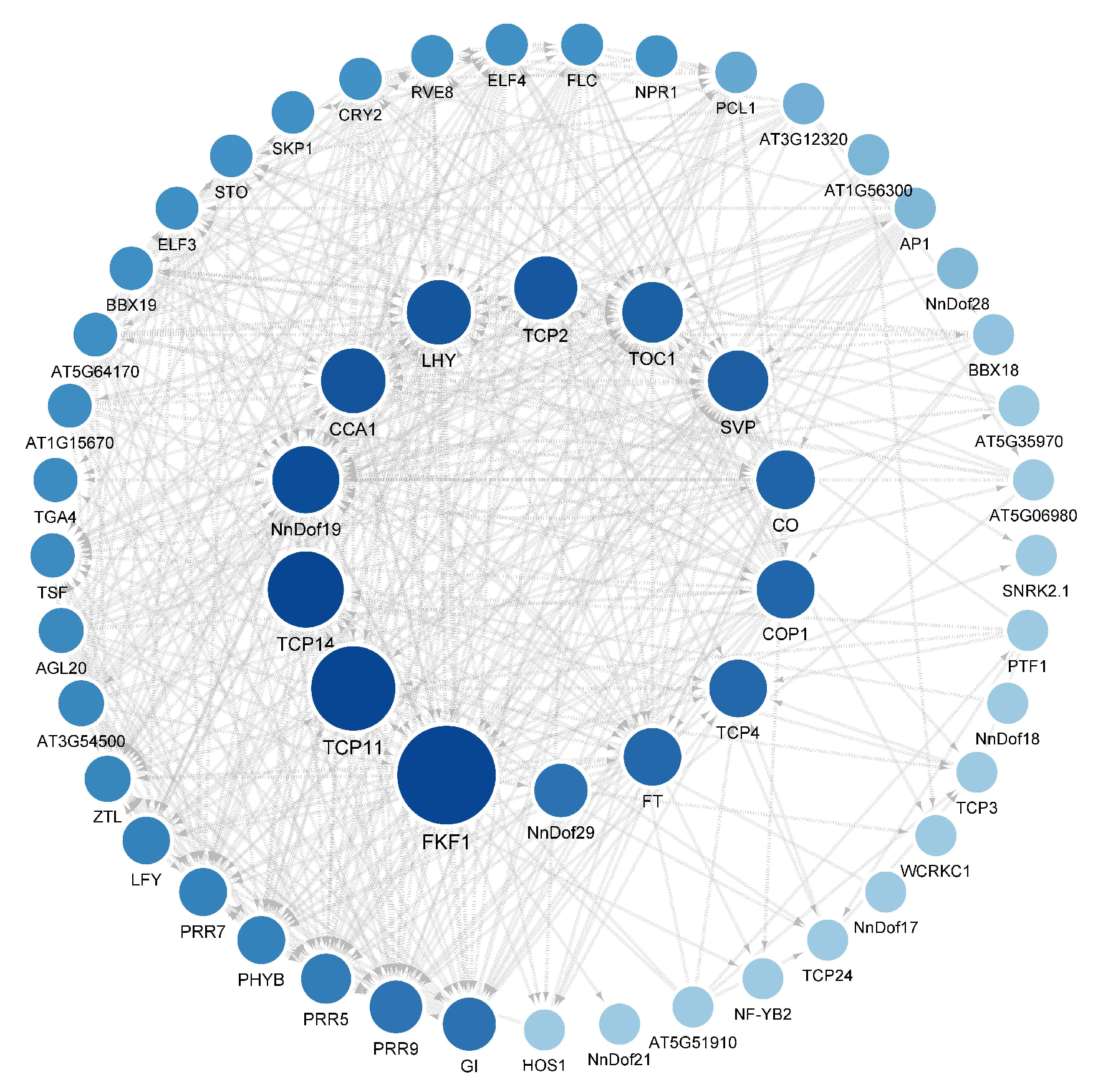 Plants 11 02057 g005 550