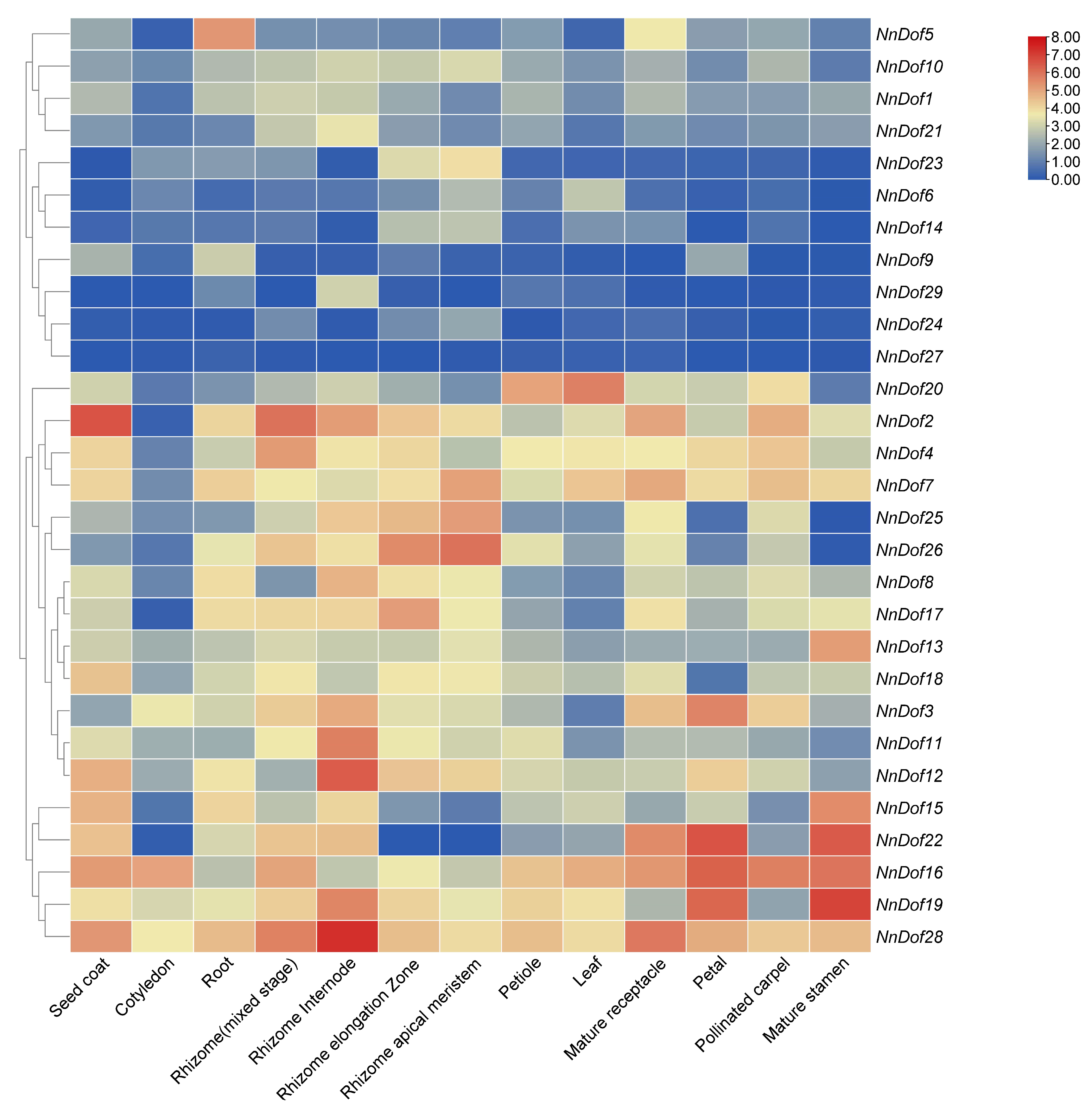 Plants 11 02057 g008 550