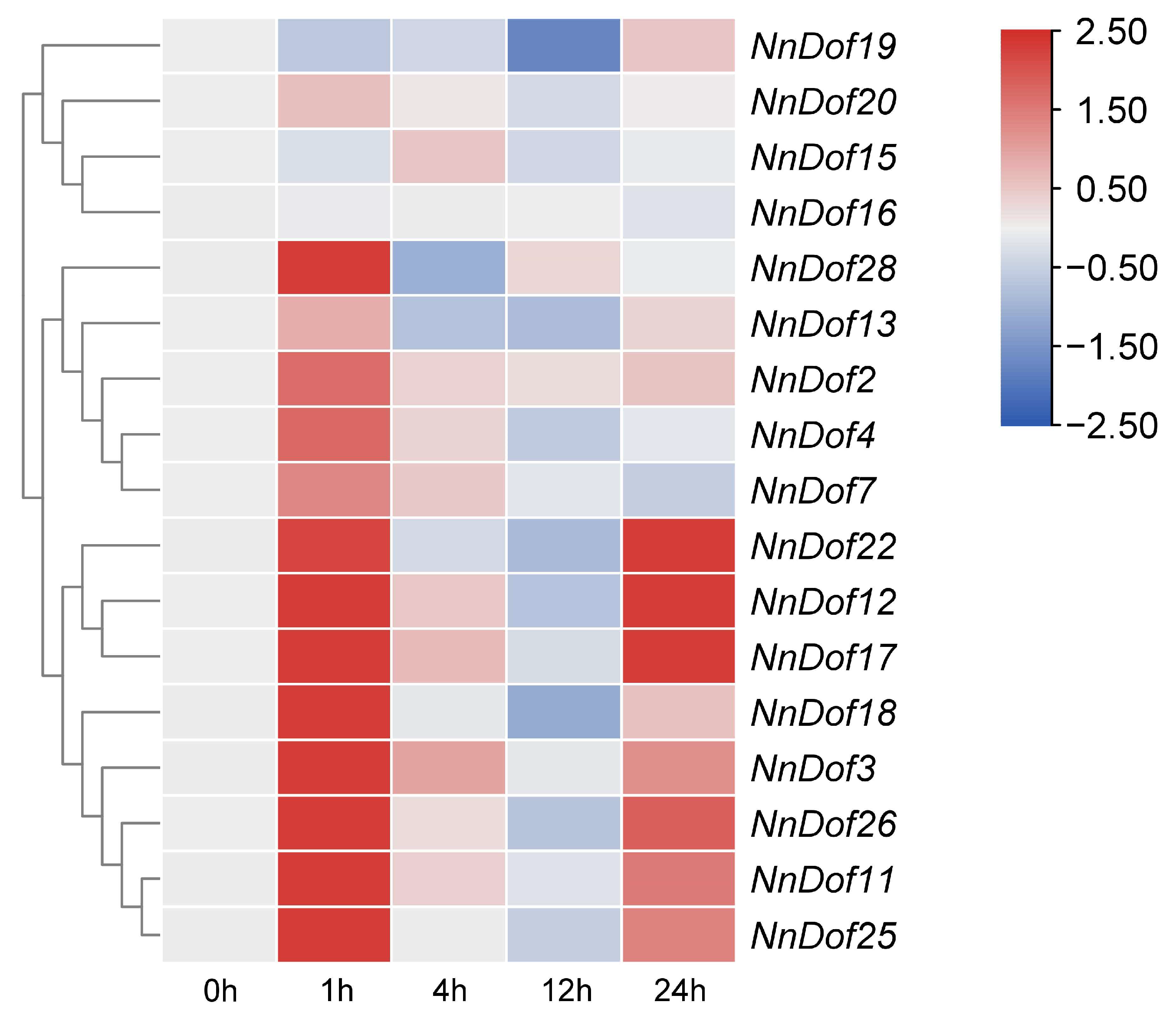 Plants 11 02057 g009 550