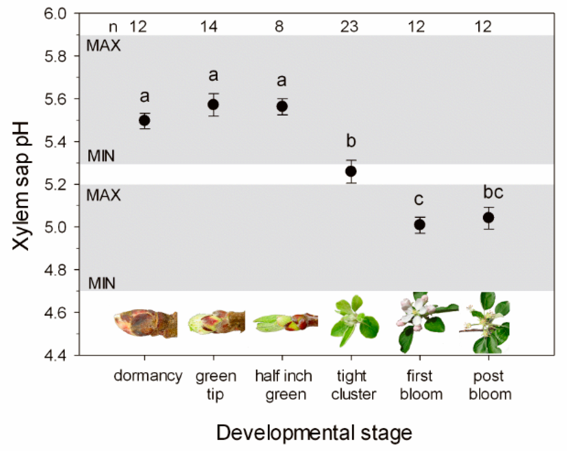 Plants 11 02058 g001