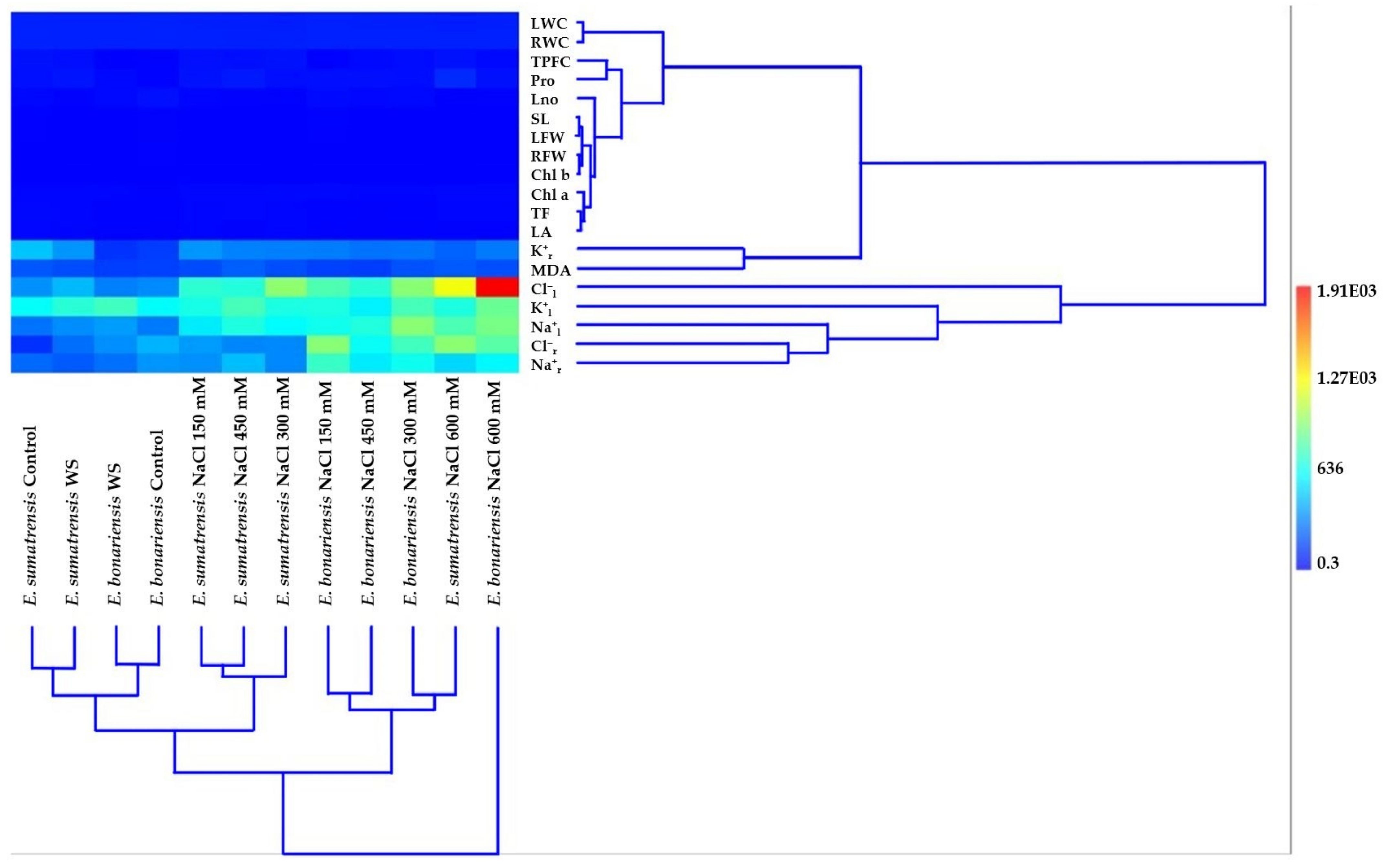 Plants 11 02059 g010 550