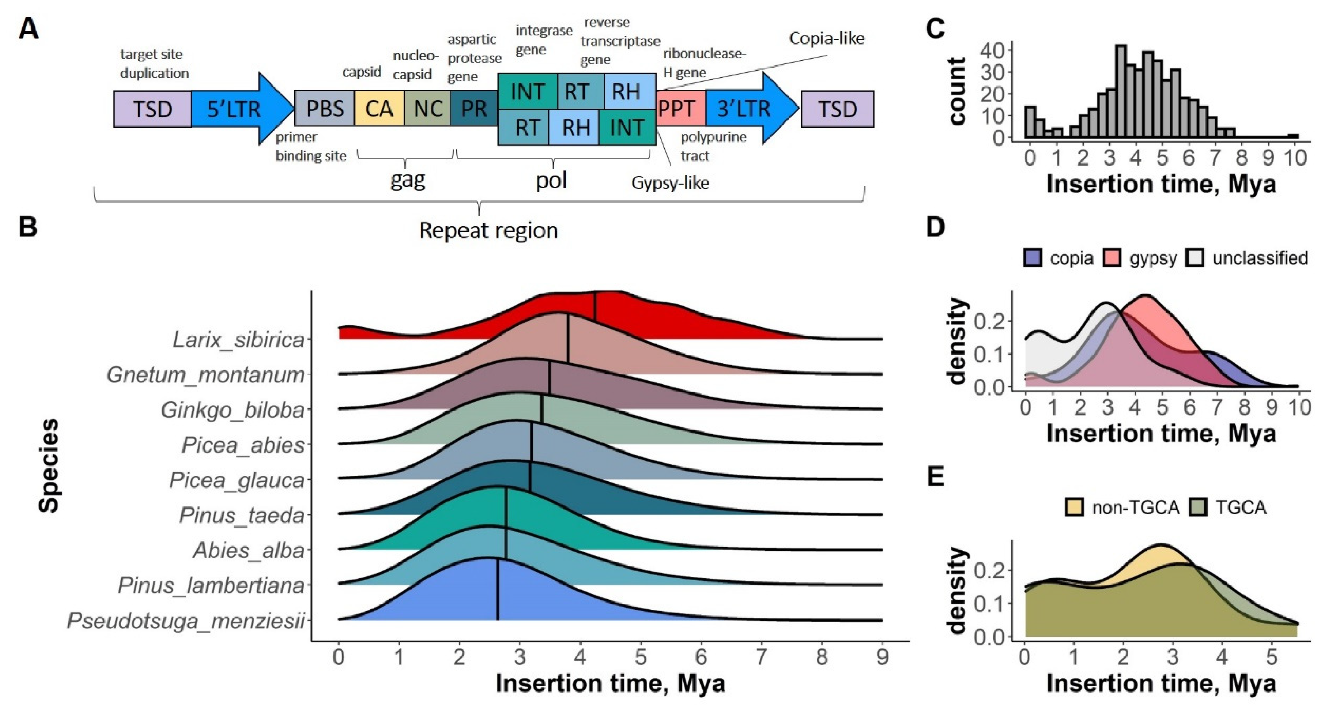 Plants 11 02062 g002