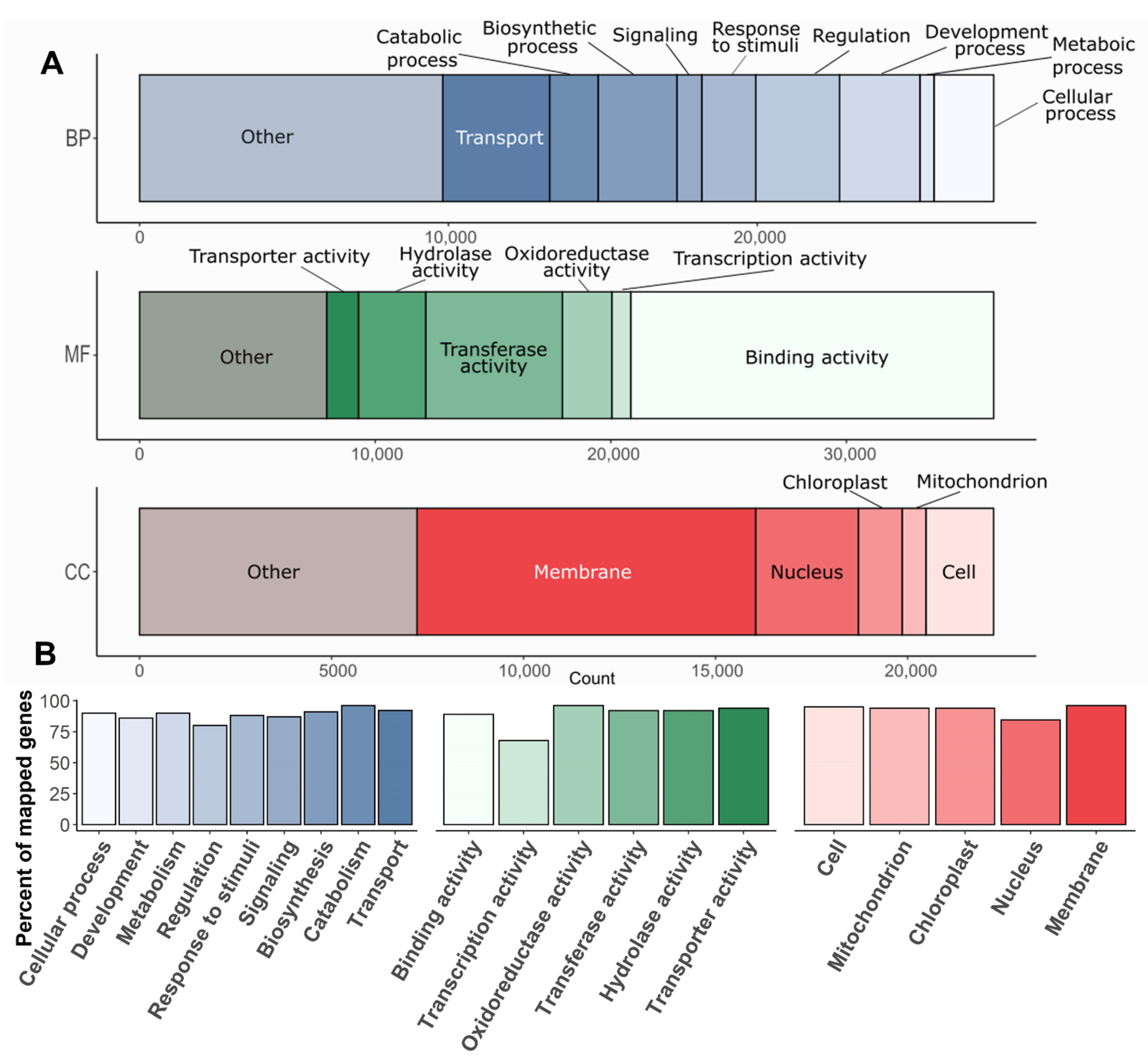 Plants 11 02062 g005