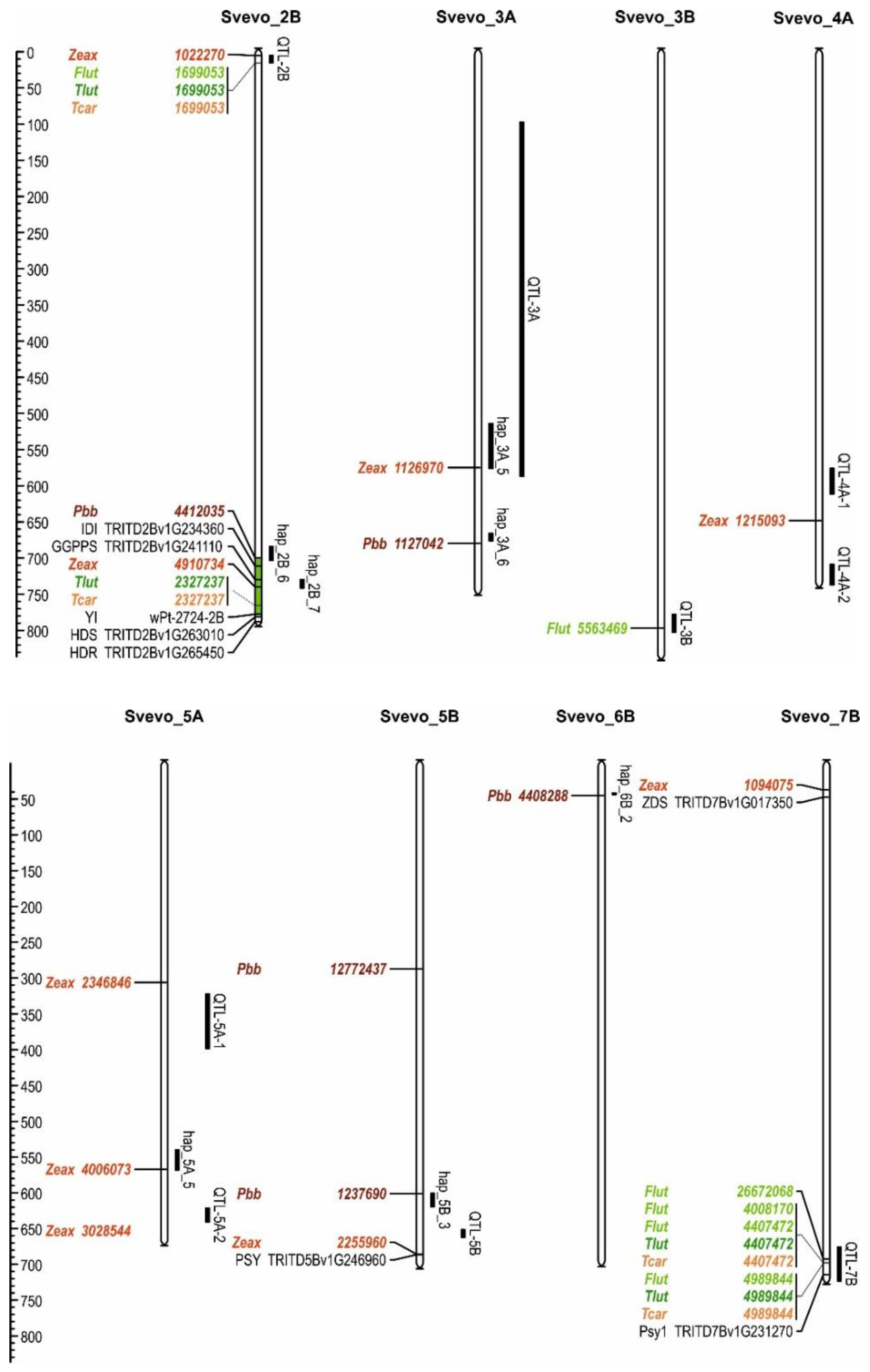 Plants 11 02065 g005 550