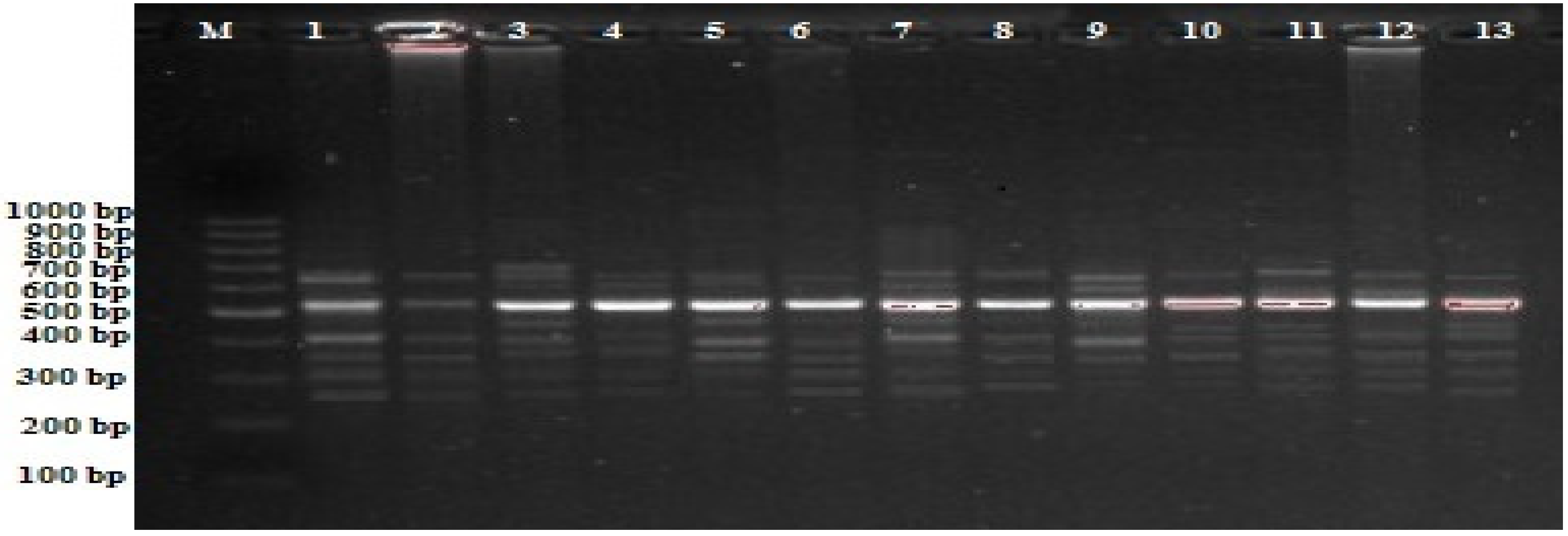 Plants 11 02071 g001 550