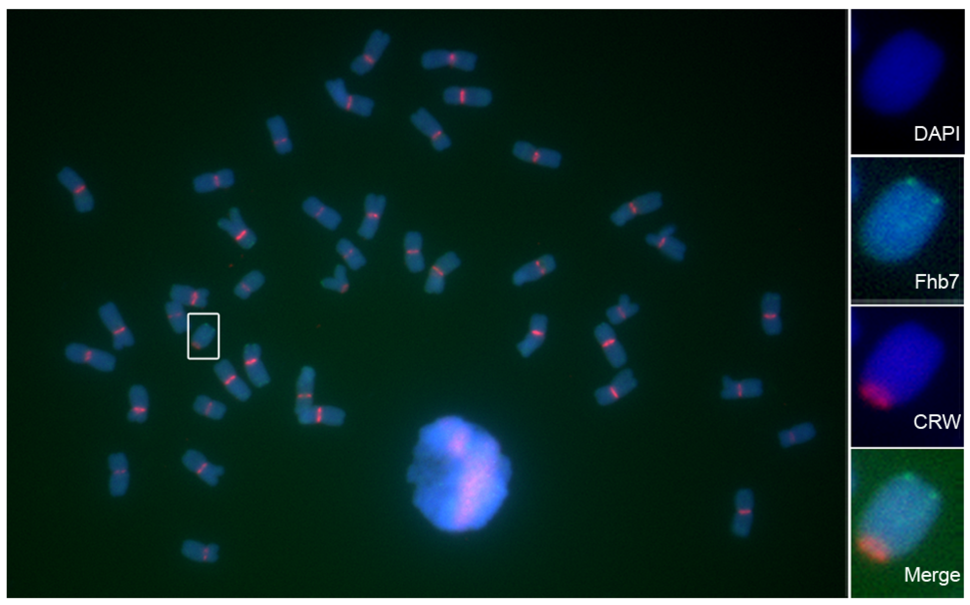 Plants 11 02074 g004