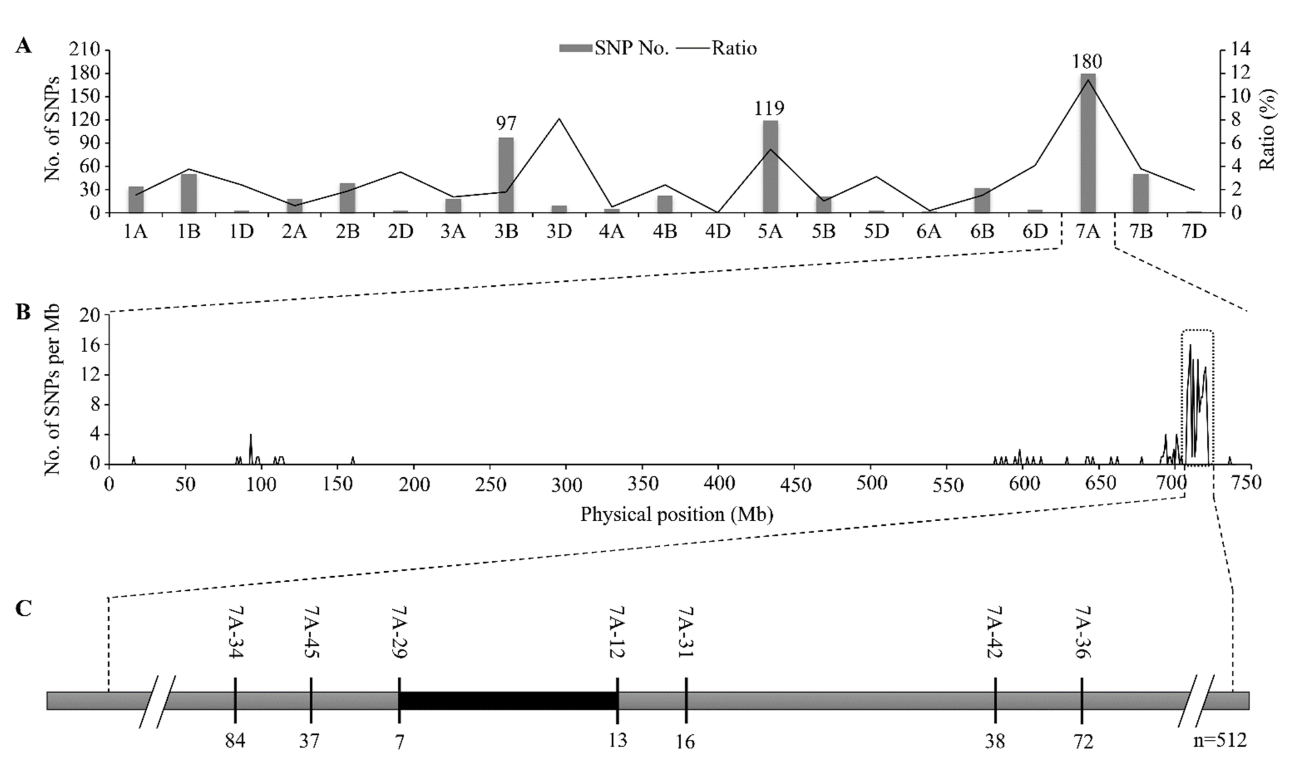 Plants 11 02076 g004