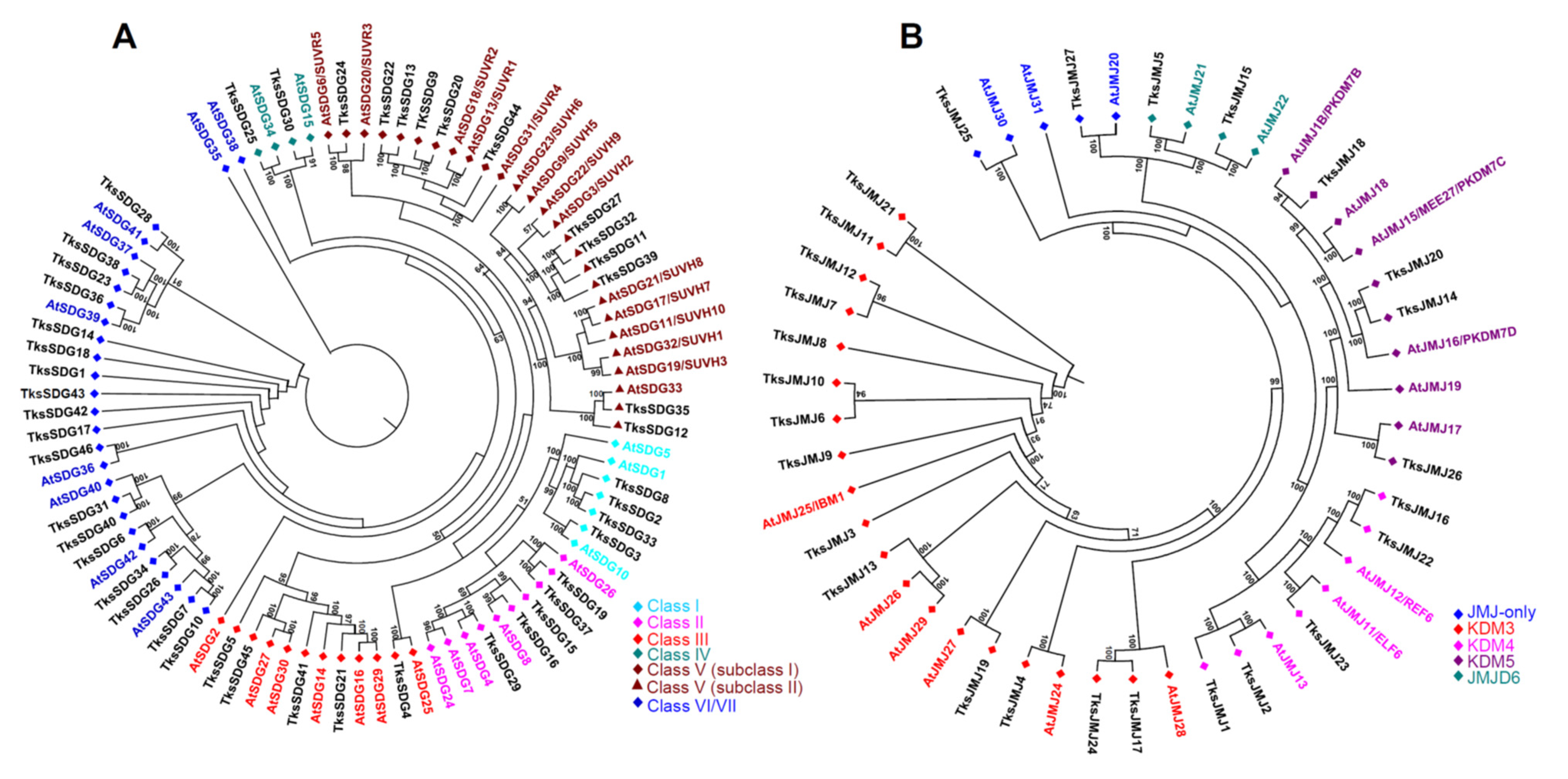 Plants 11 02077 g001 550