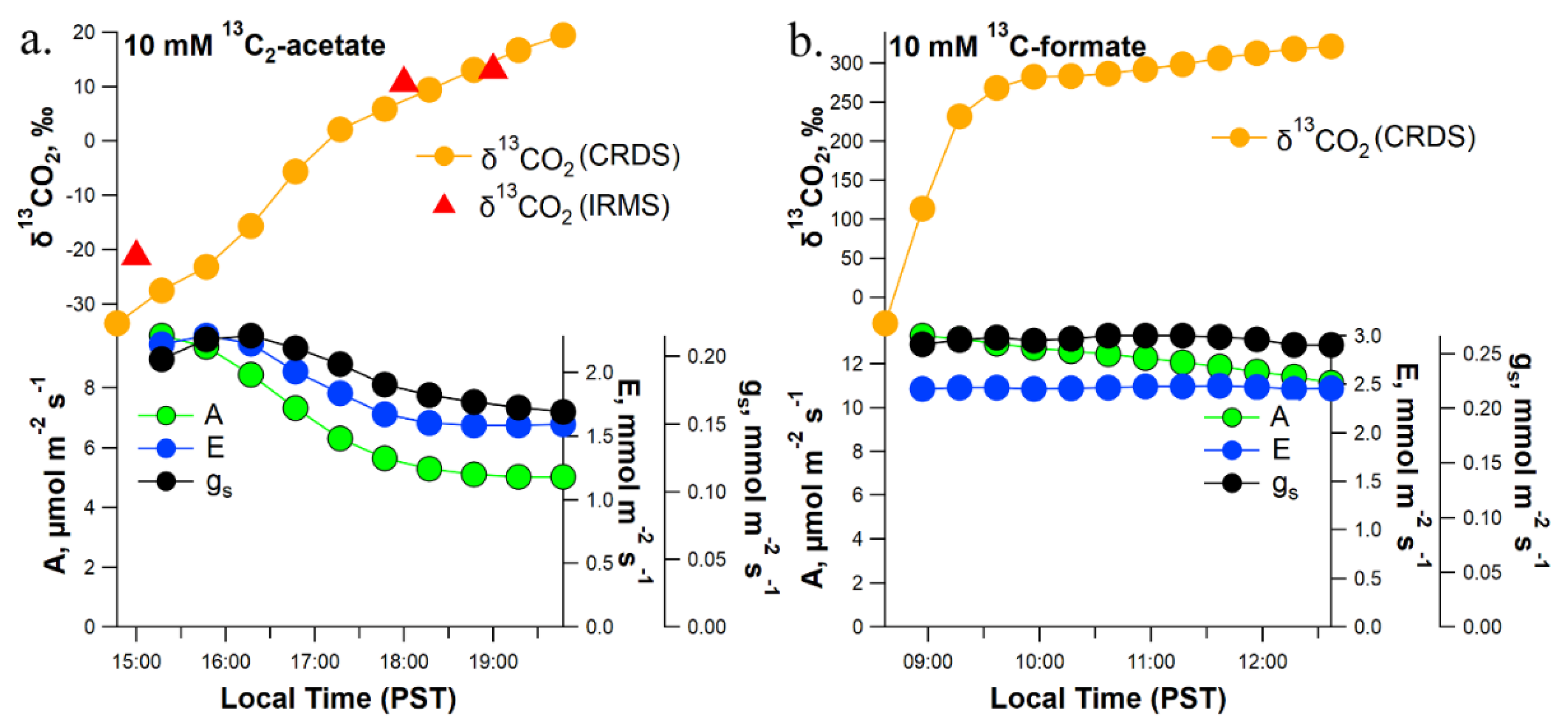 Plants 11 02080 g004