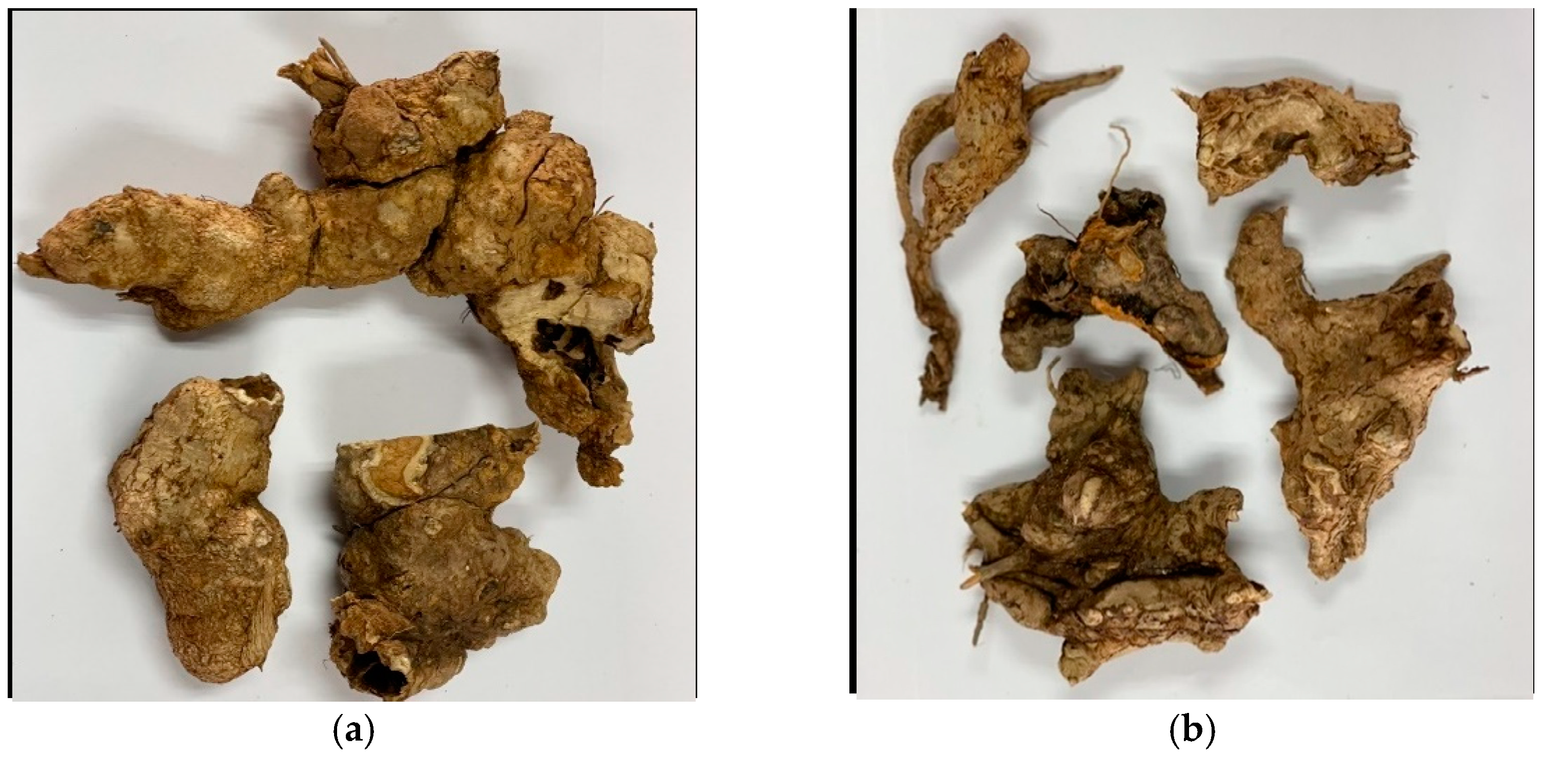 Plants 11 02089 g003 550