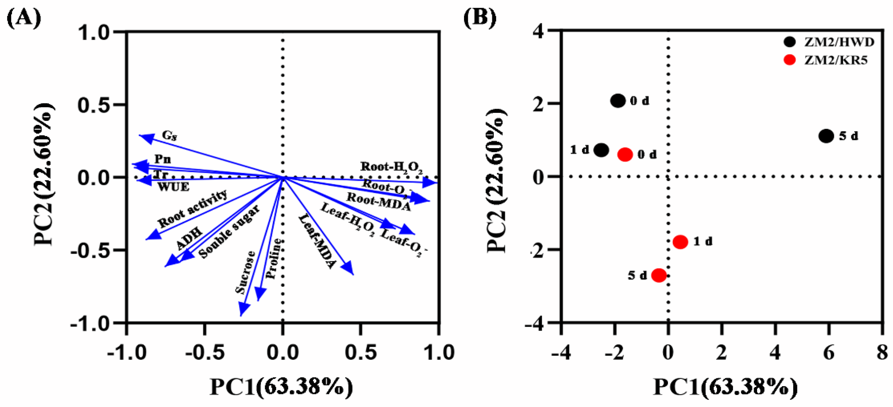 Plants 11 02098 g006 550