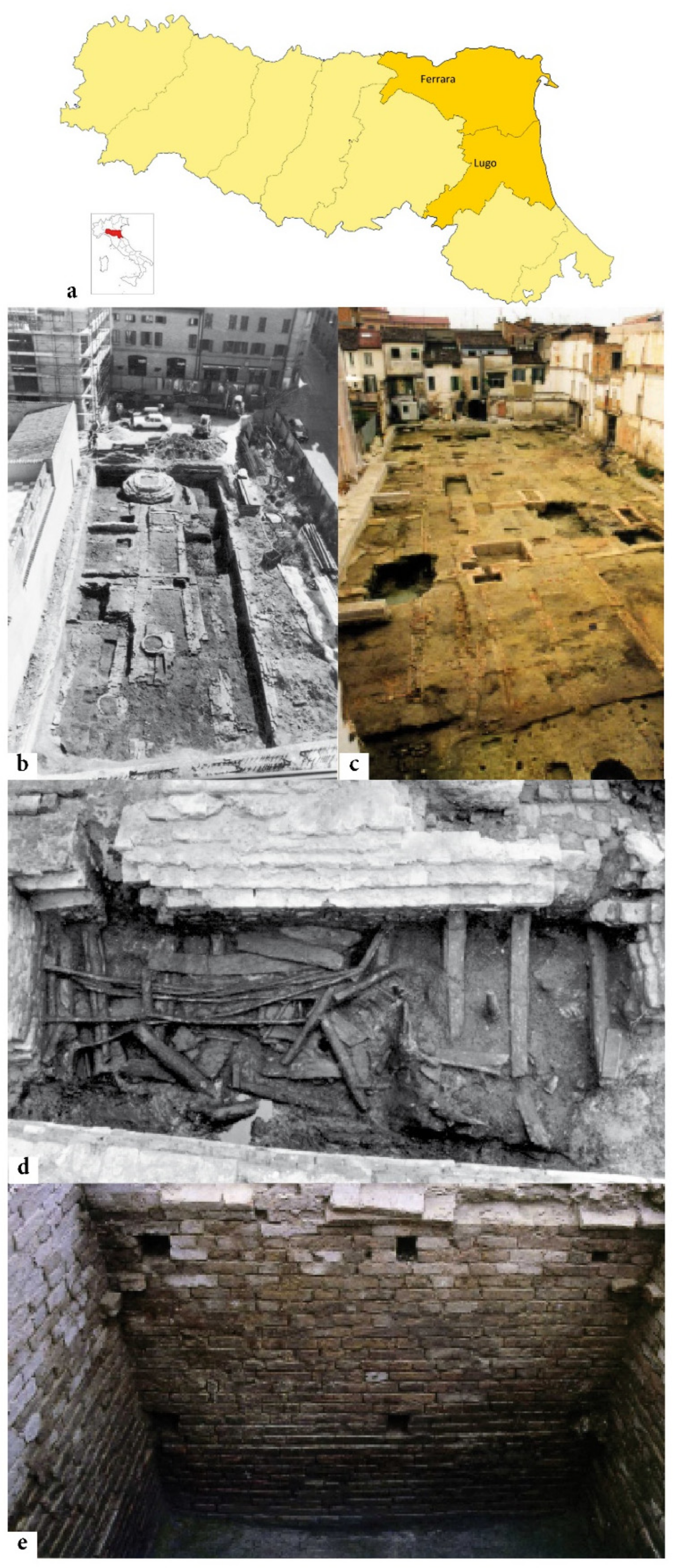 Plants 11 02100 g001