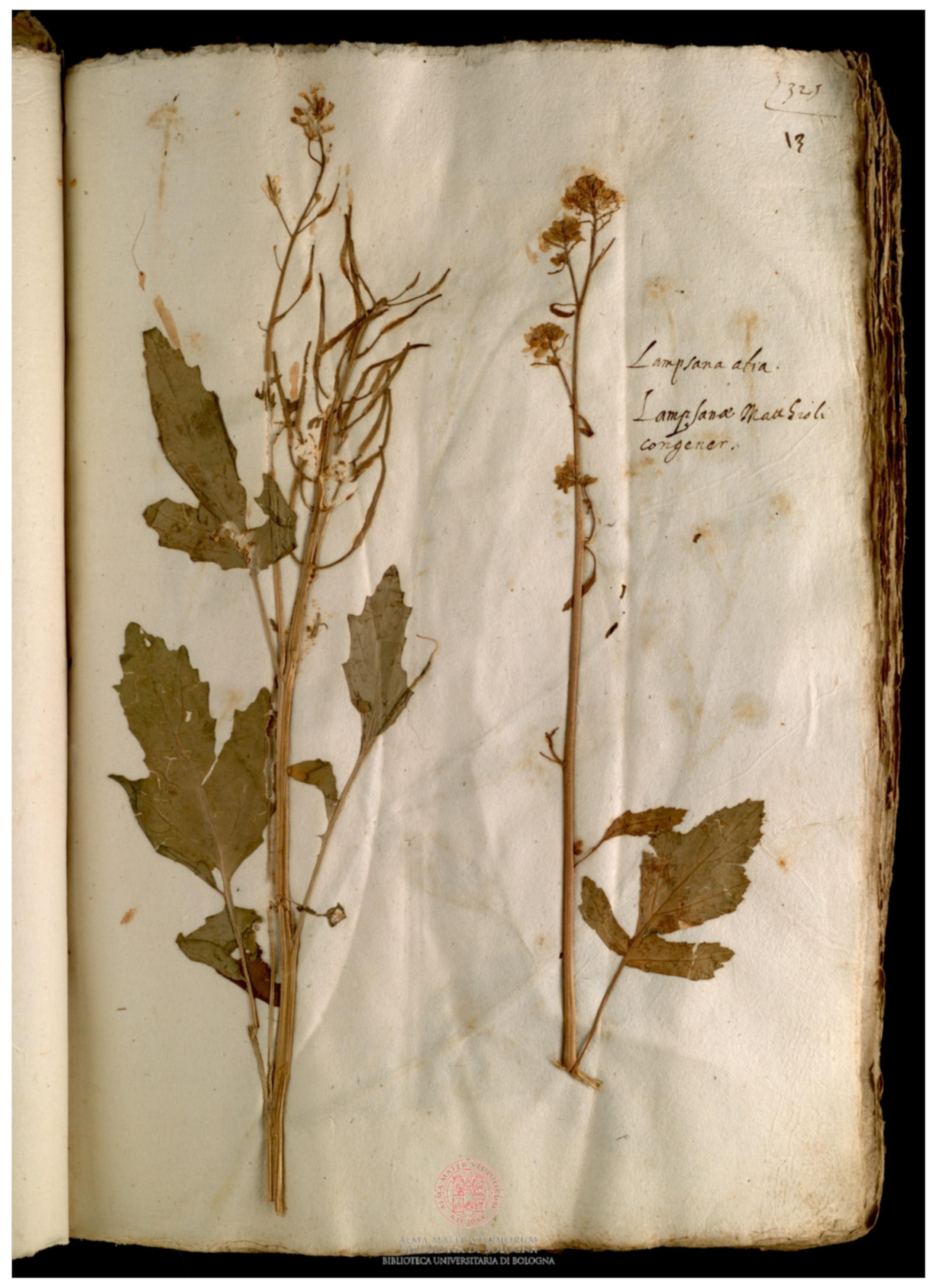 Plants 11 02100 g004