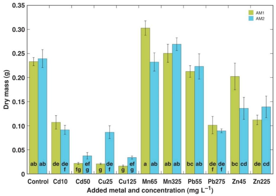 Plants 11 02104 g001 Plants 11 02104 g001