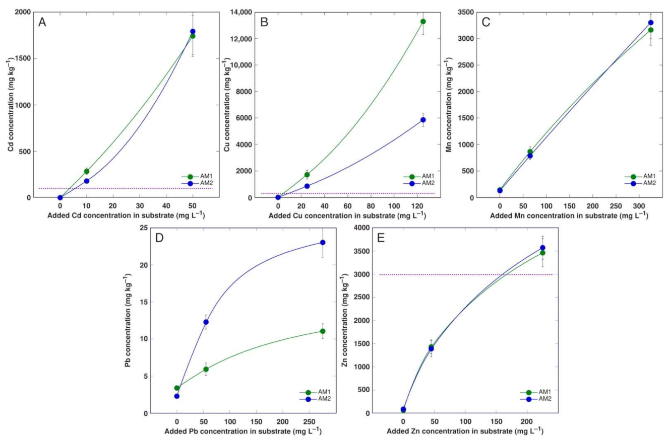 Plants 11 02104 g002 Plants 11 02104 g002