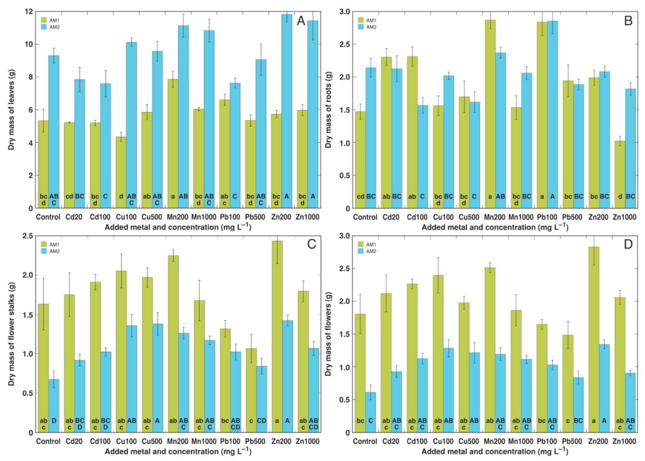 Plants 11 02104 g003 Plants 11 02104 g003