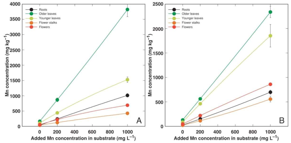 Plants 11 02104 g006 Plants 11 02104 g006