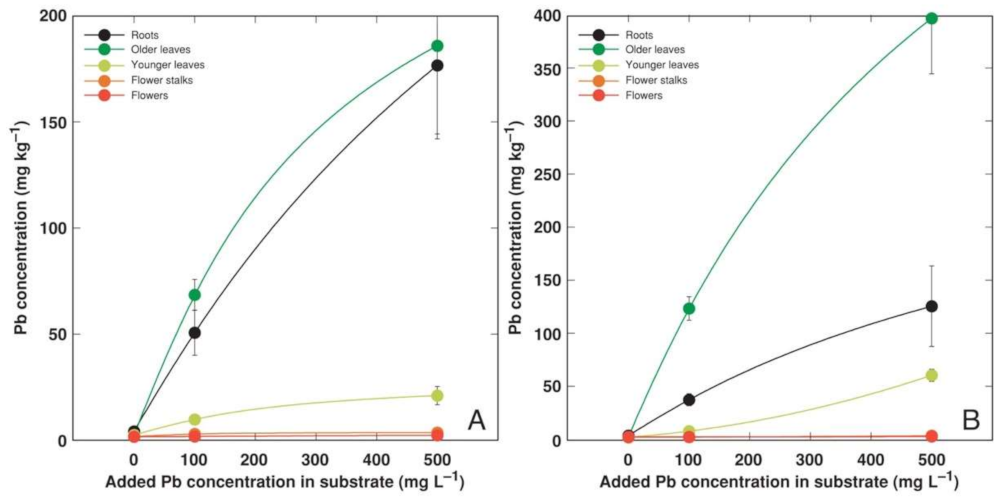 Plants 11 02104 g007 Plants 11 02104 g007