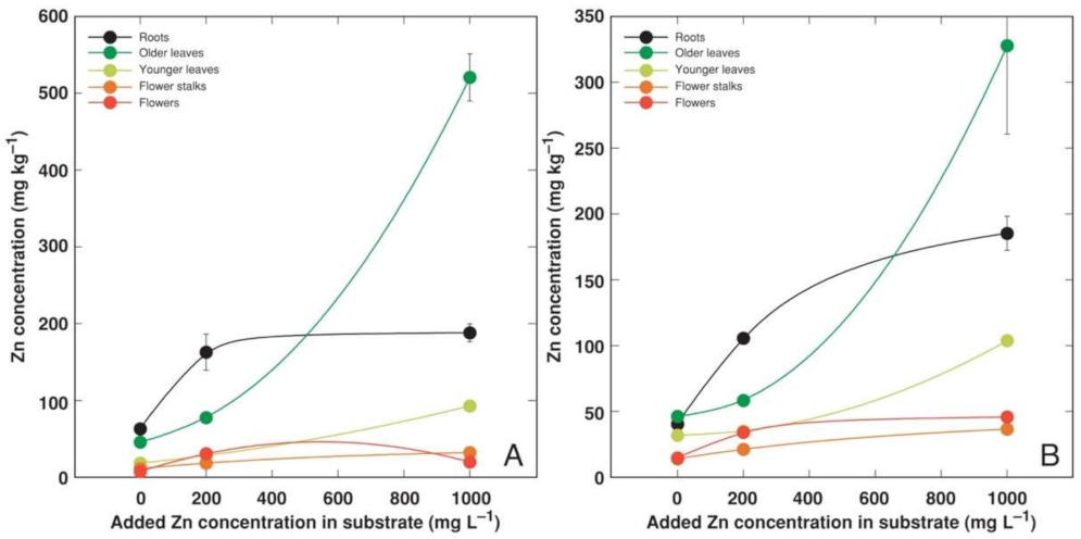 Plants 11 02104 g008 Plants 11 02104 g008