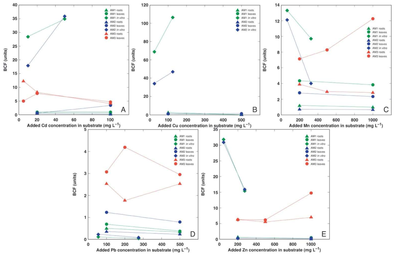 Plants 11 02104 g010 Plants 11 02104 g010