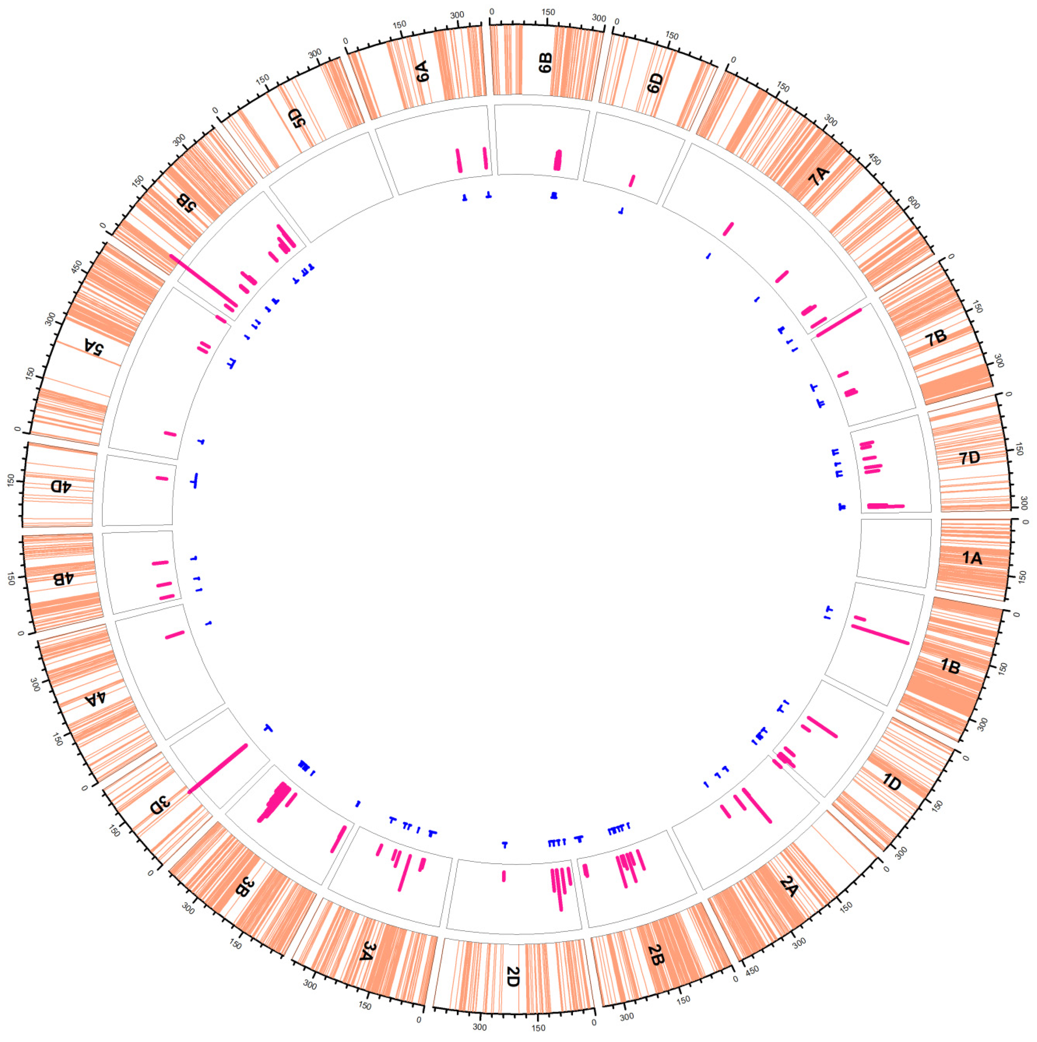 Plants 11 02105 g004
