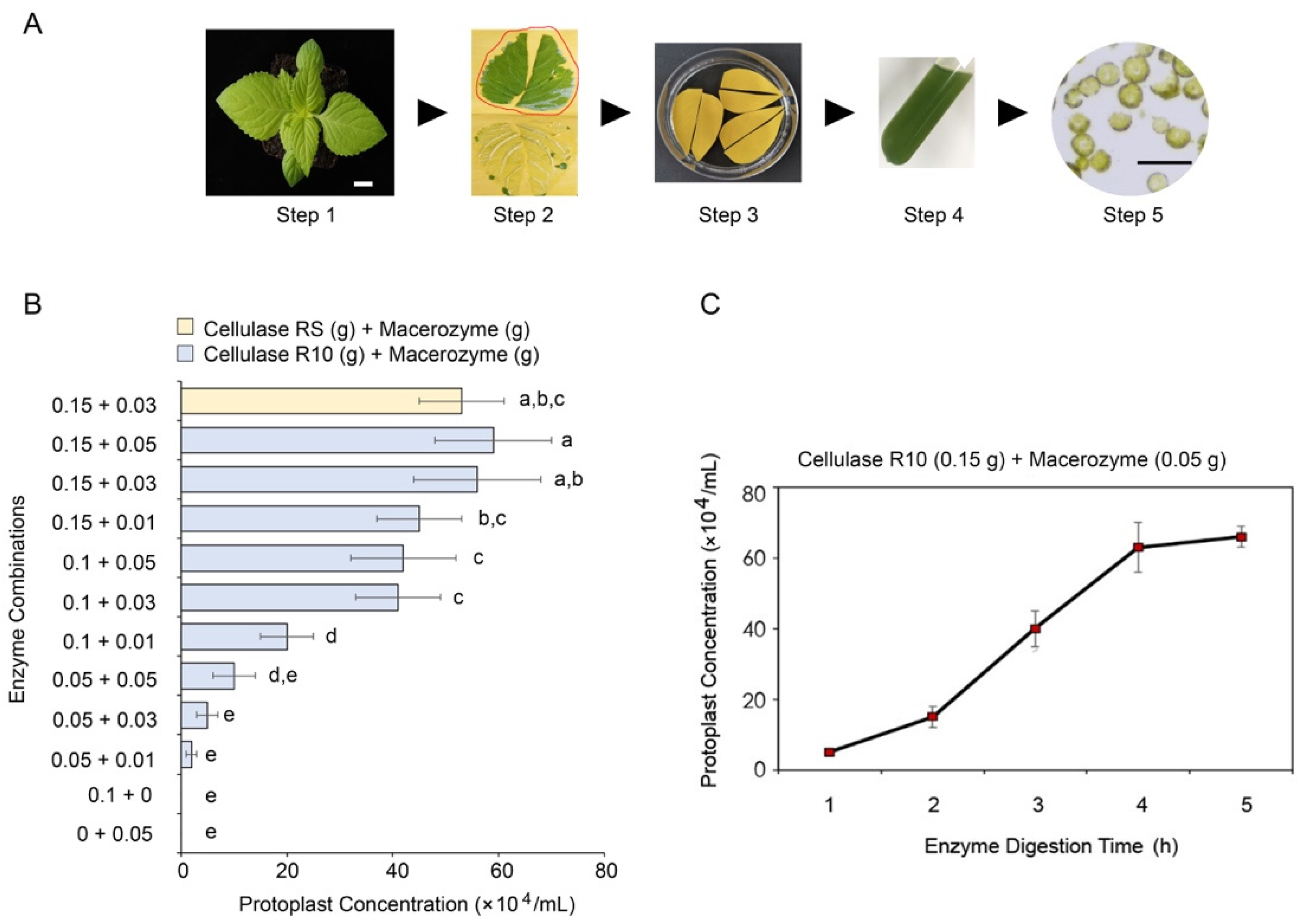 Plants 11 02106 g001