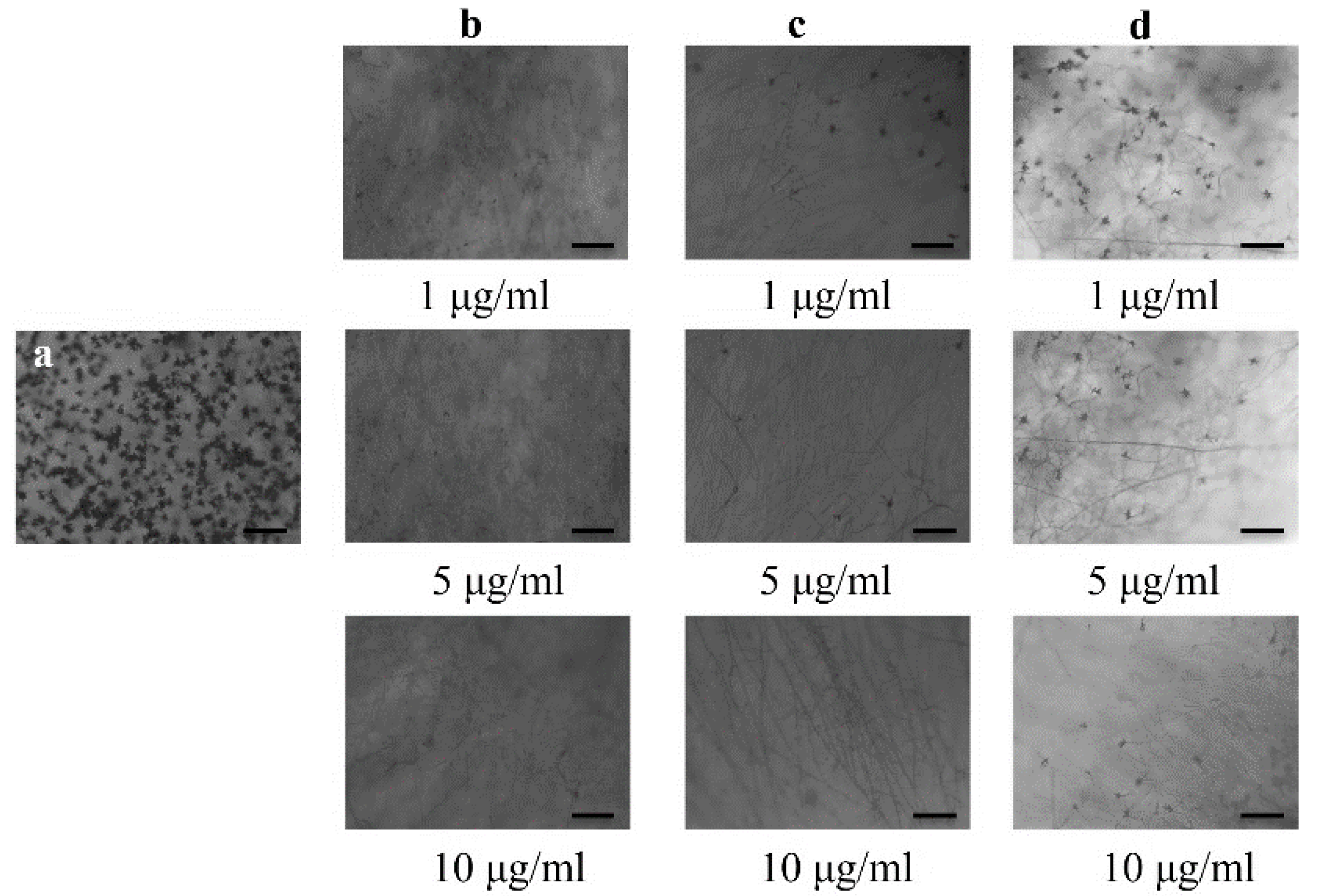 Plants 11 02108 g003