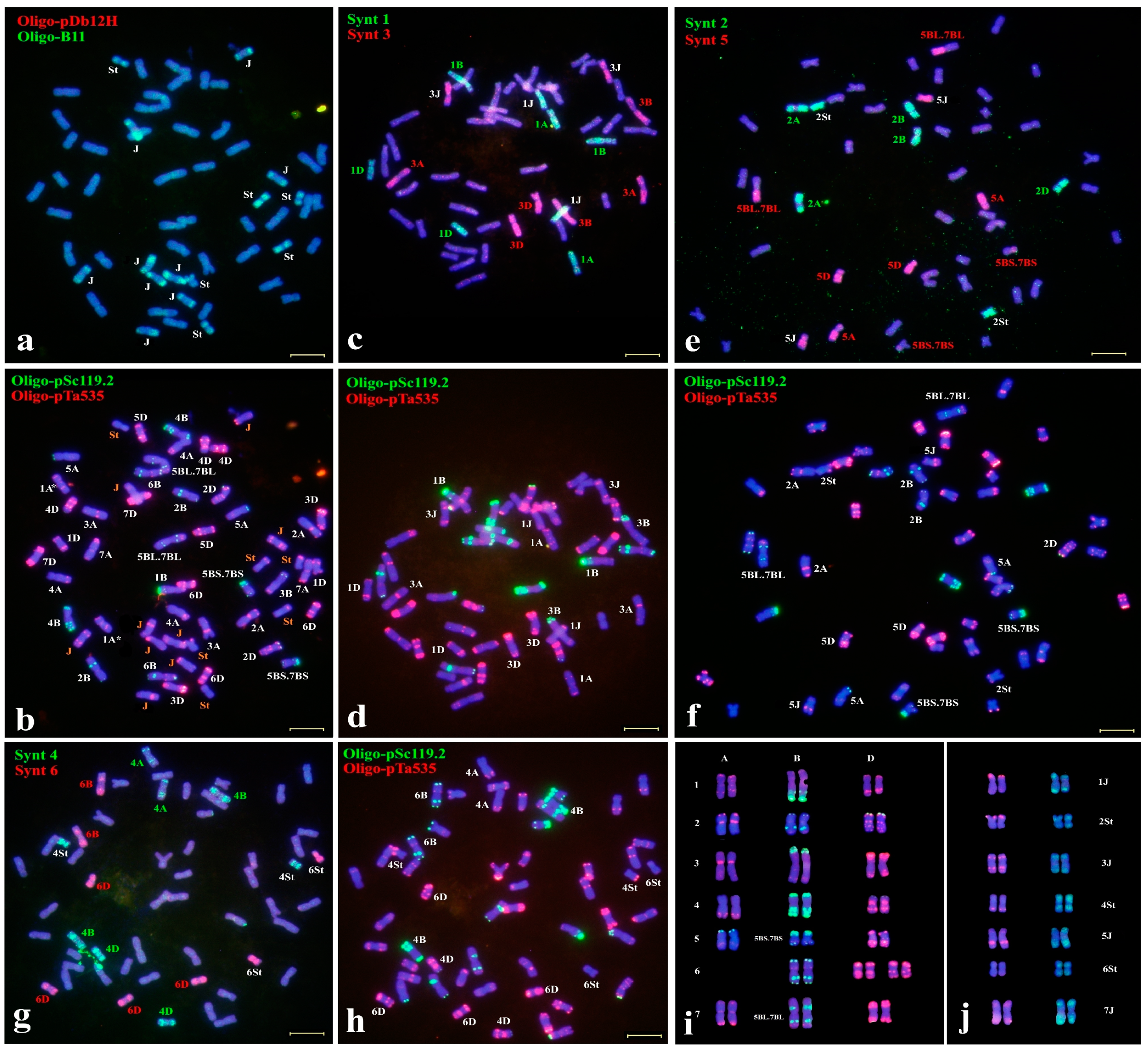 Plants 11 02109 g002