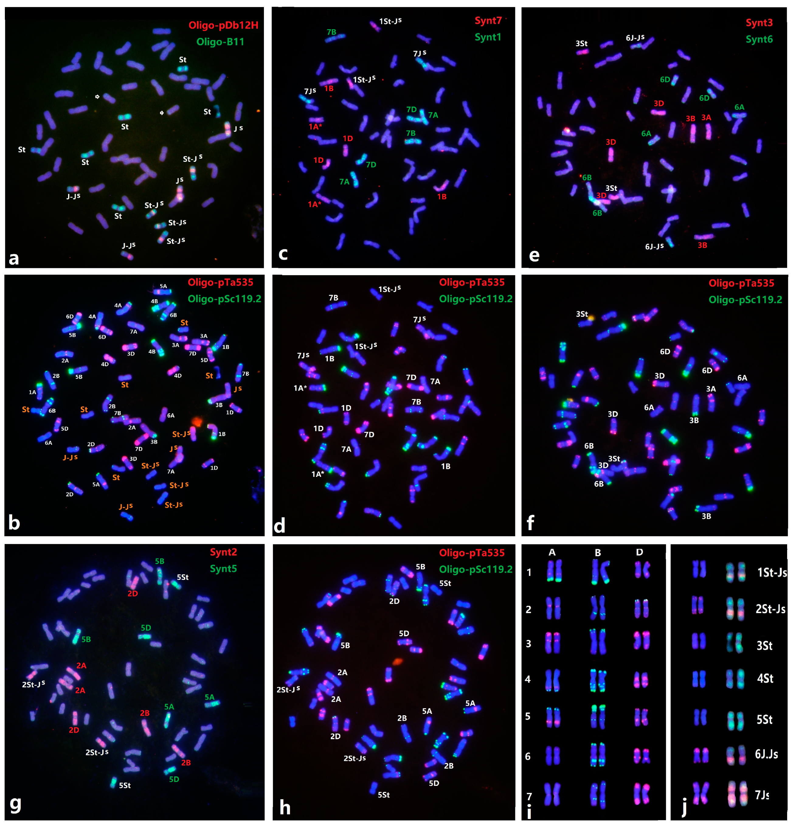 Plants 11 02109 g003