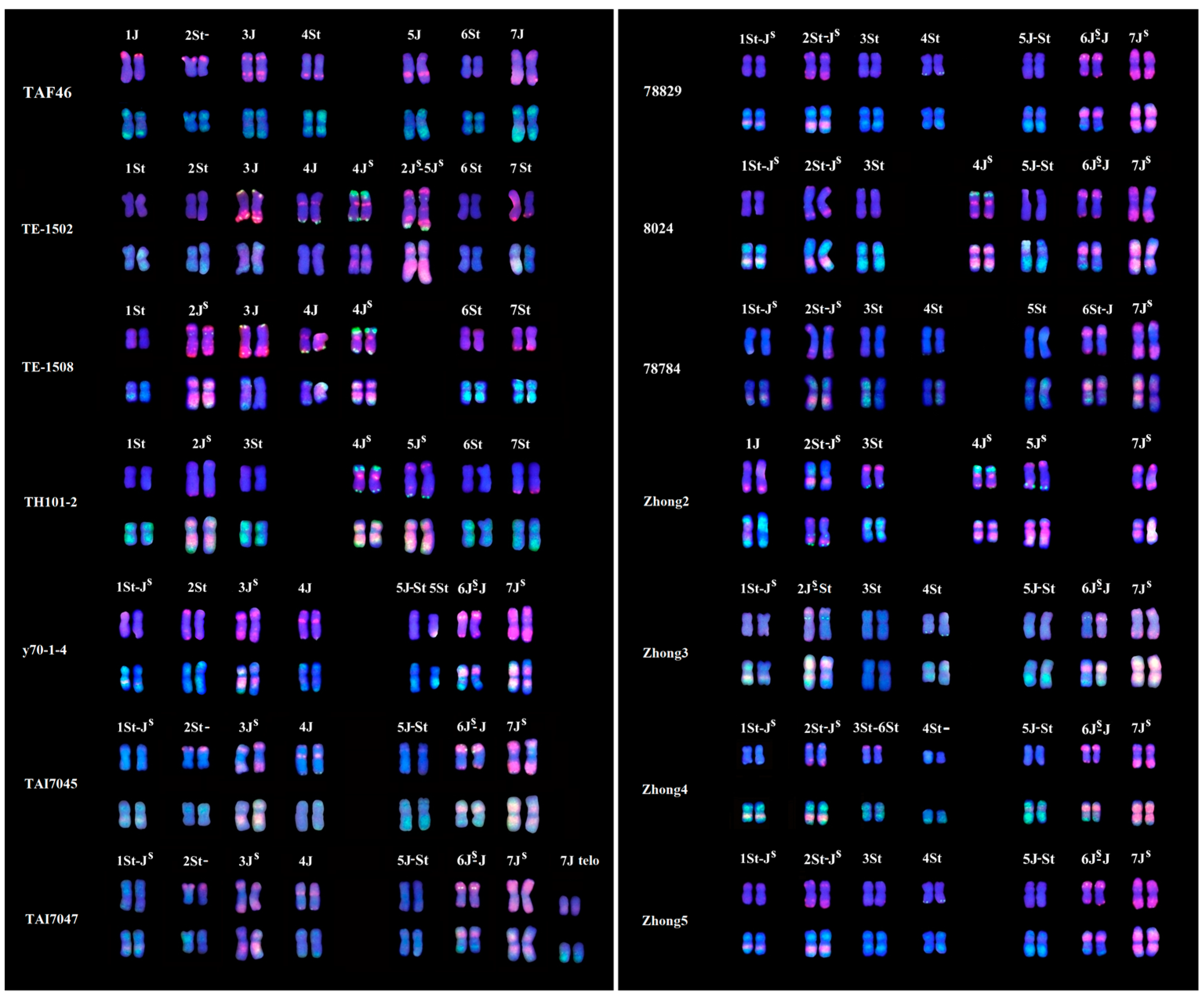 Plants 11 02109 g004