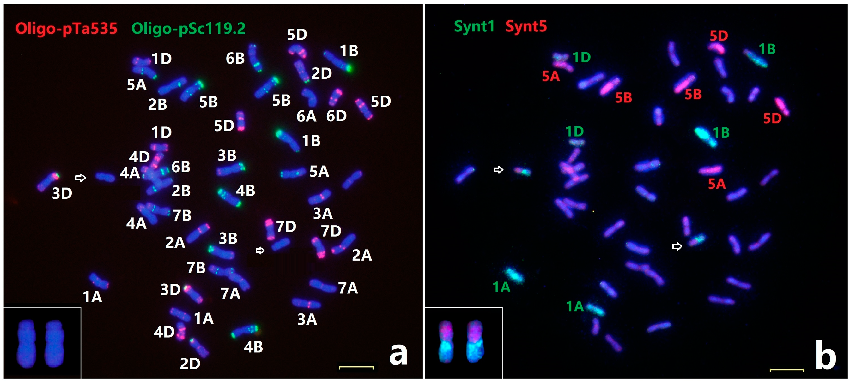 Plants 11 02109 g005