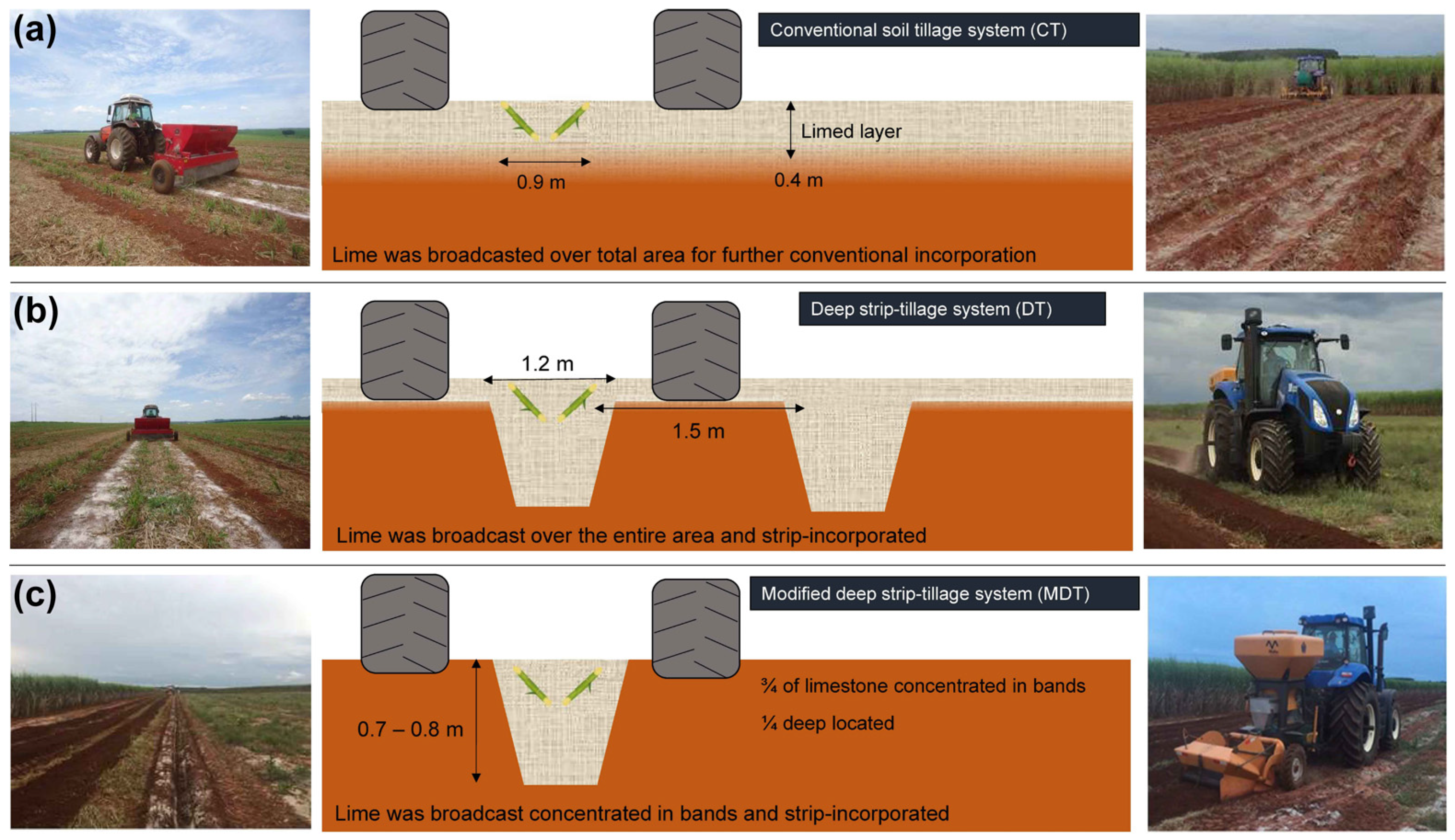 Plants 11 02110 g007