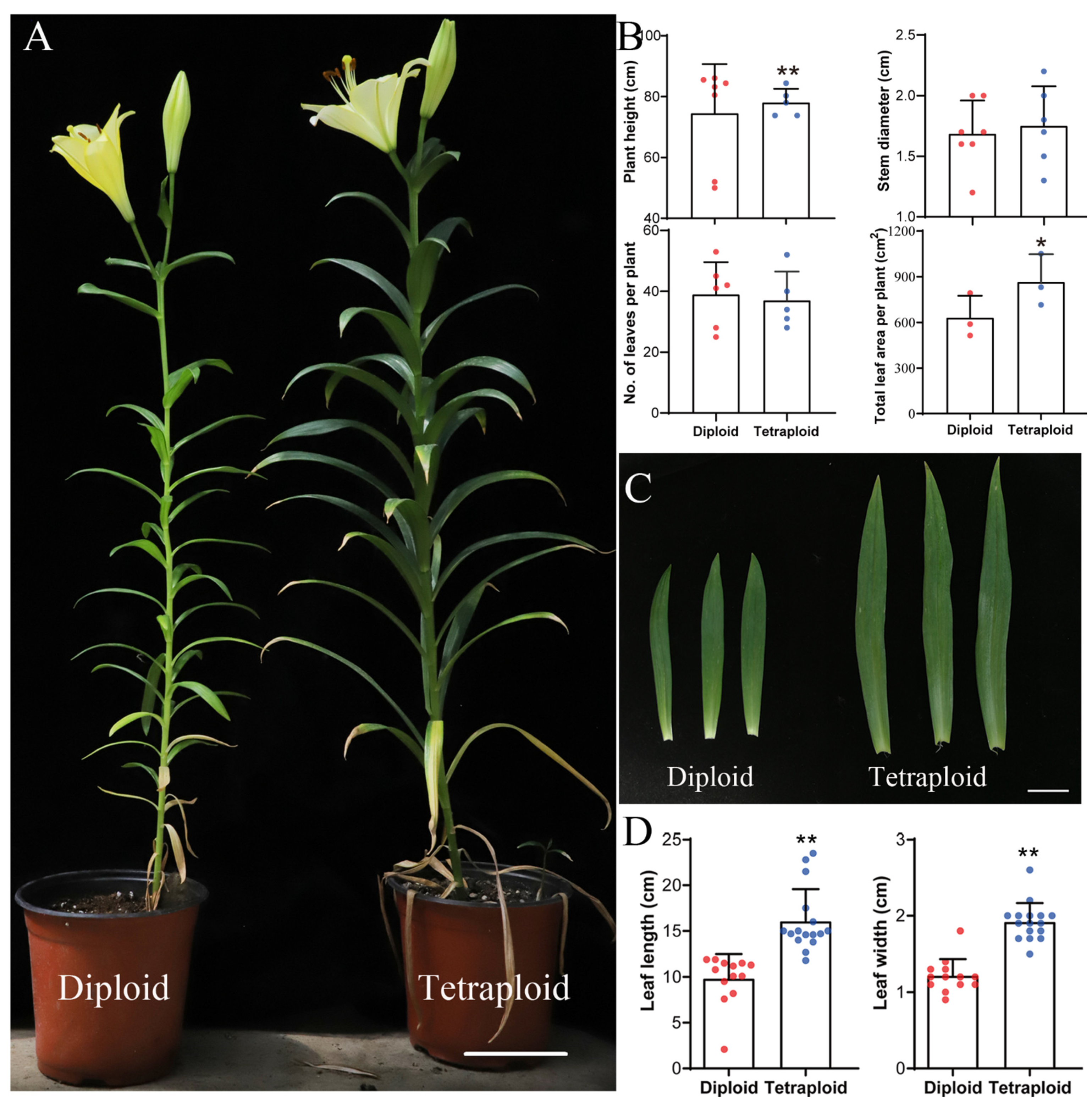 Plants 11 02112 g003 550